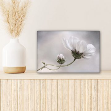 OneMillionCanvasses® Leinwandbild Blumen - Stillleben - Natur - Grau, (1 St), Wandbild Leinwandbilder, Aufhängefertig, Wanddeko, 30x20 cm