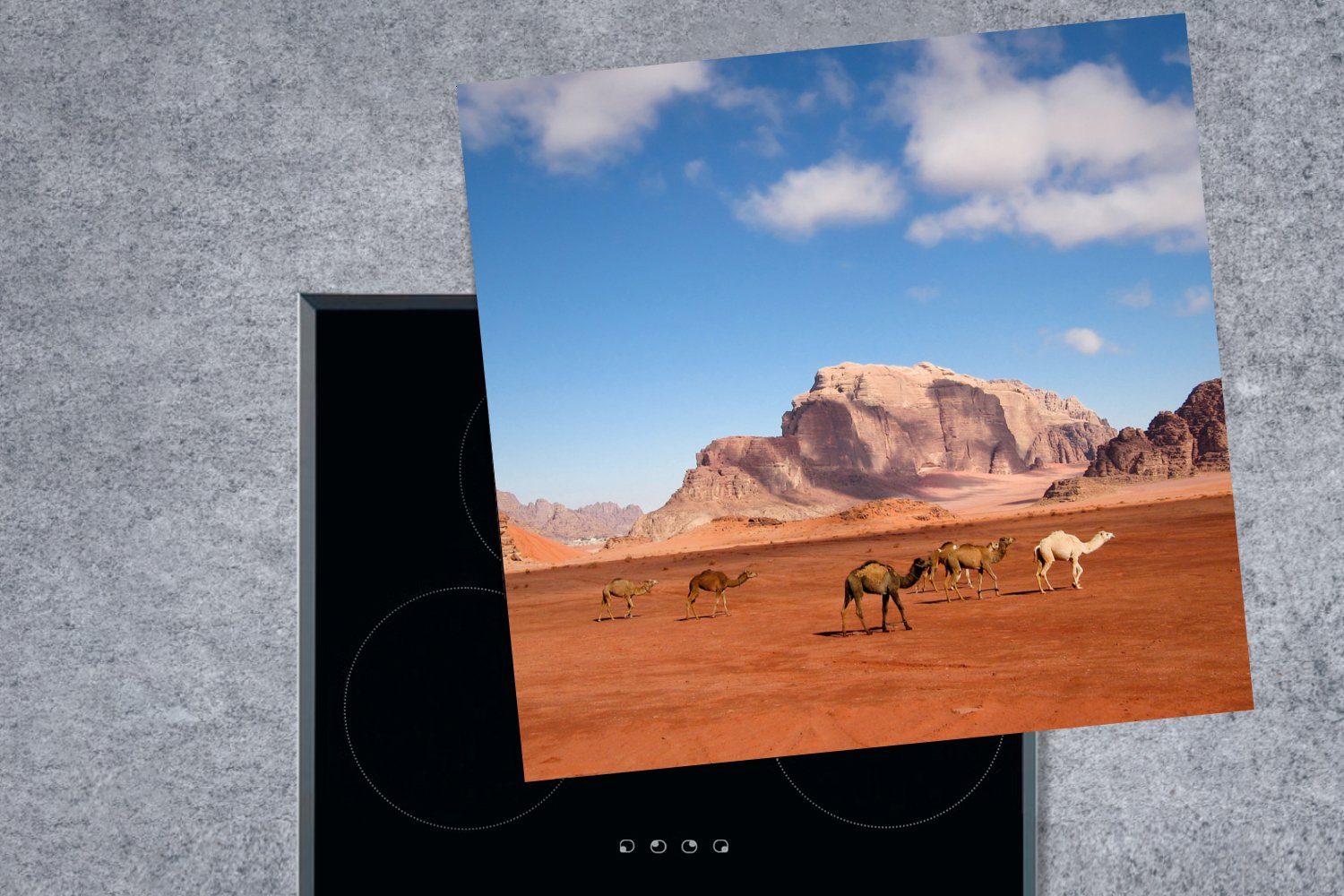 küche cm, Arbeitsplatte Wüste, Herdblende-/Abdeckplatte tlg), (1 MuchoWow Kamel Rum Wadi Ceranfeldabdeckung, für - Vinyl, 78x78 -