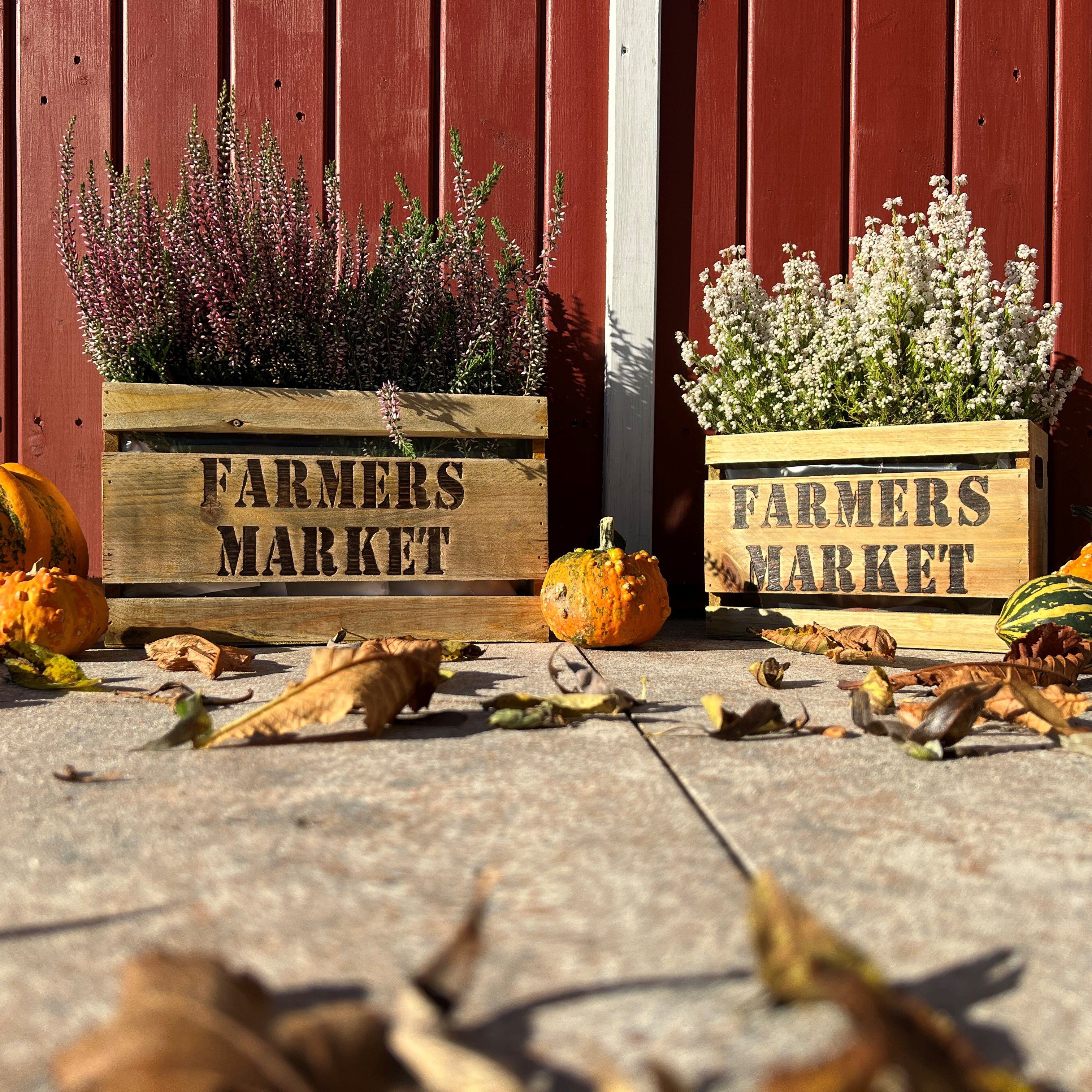 tegawo Holzkiste Farmers Market, Pflanzkiste, wasserdicht durch PE-Beutel