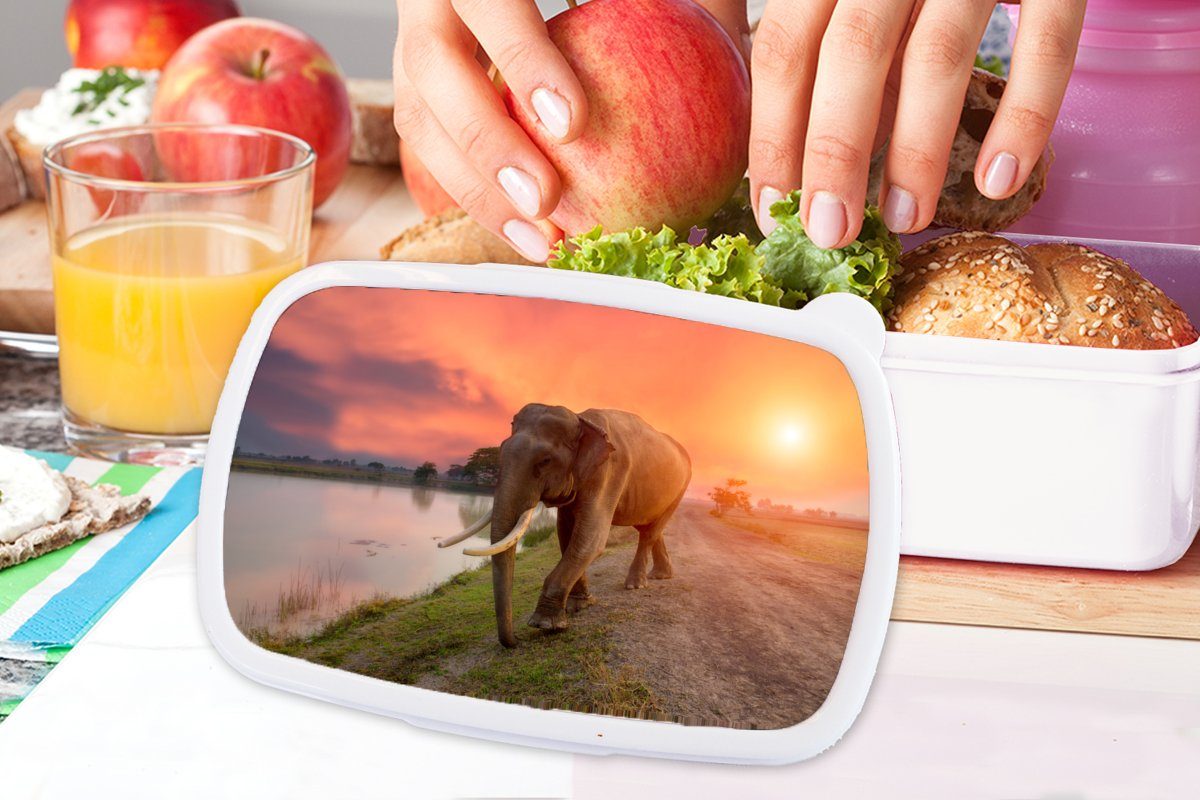 MuchoWow Lunchbox Elefant - Wasser (2-tlg), Jungs Brotbox und Brotdose, Mädchen weiß - für Sonnenuntergang - Natur, und Tiere Kunststoff, für Erwachsene, Kinder 