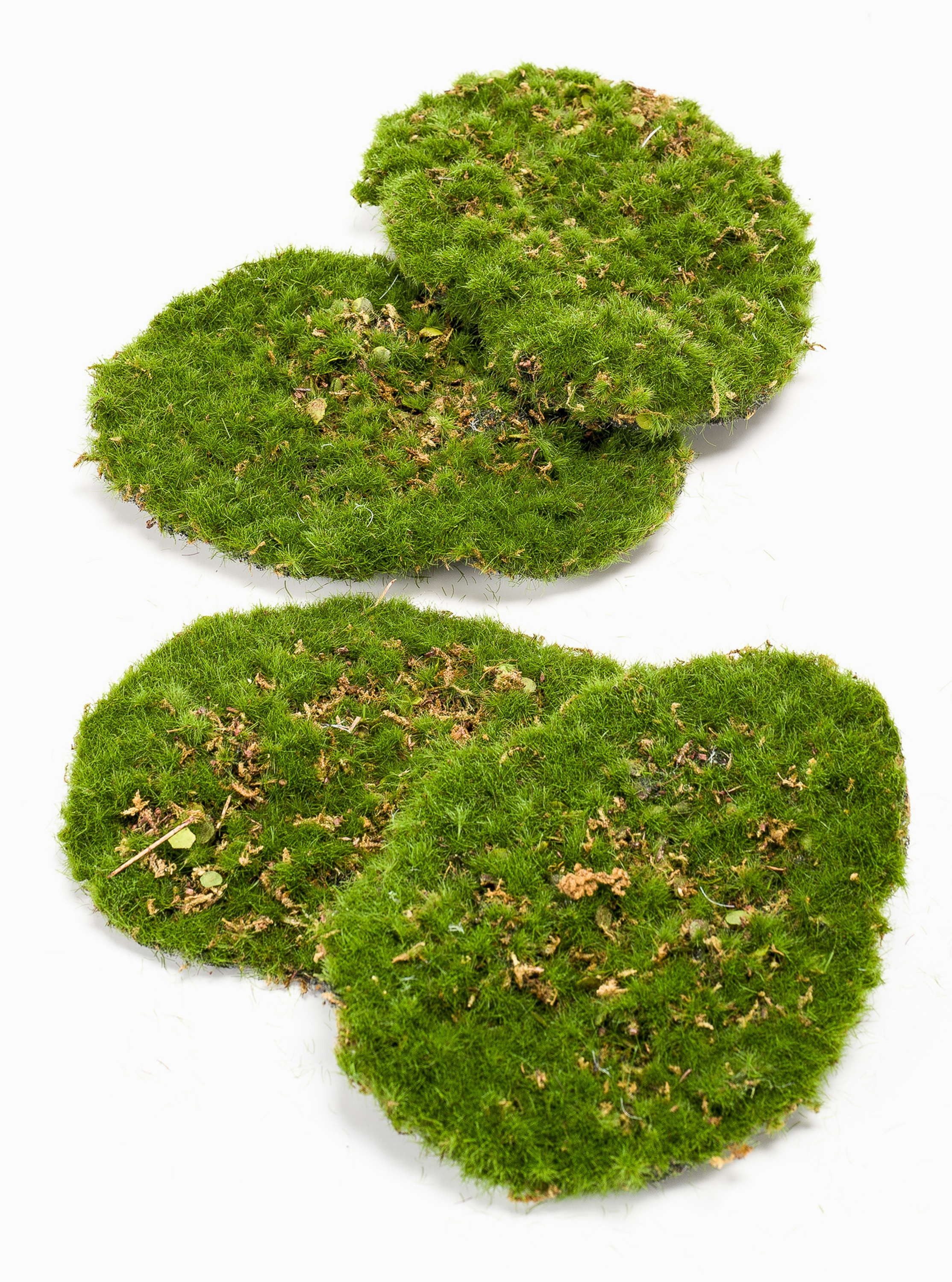 Künstliche Zimmerpflanze Kunstpflanze Deko Moos Stücke Hefei, grün, 4 St, 11x15x5cm Moos (Lappenmoos), artplants, Höhe 15.0 cm