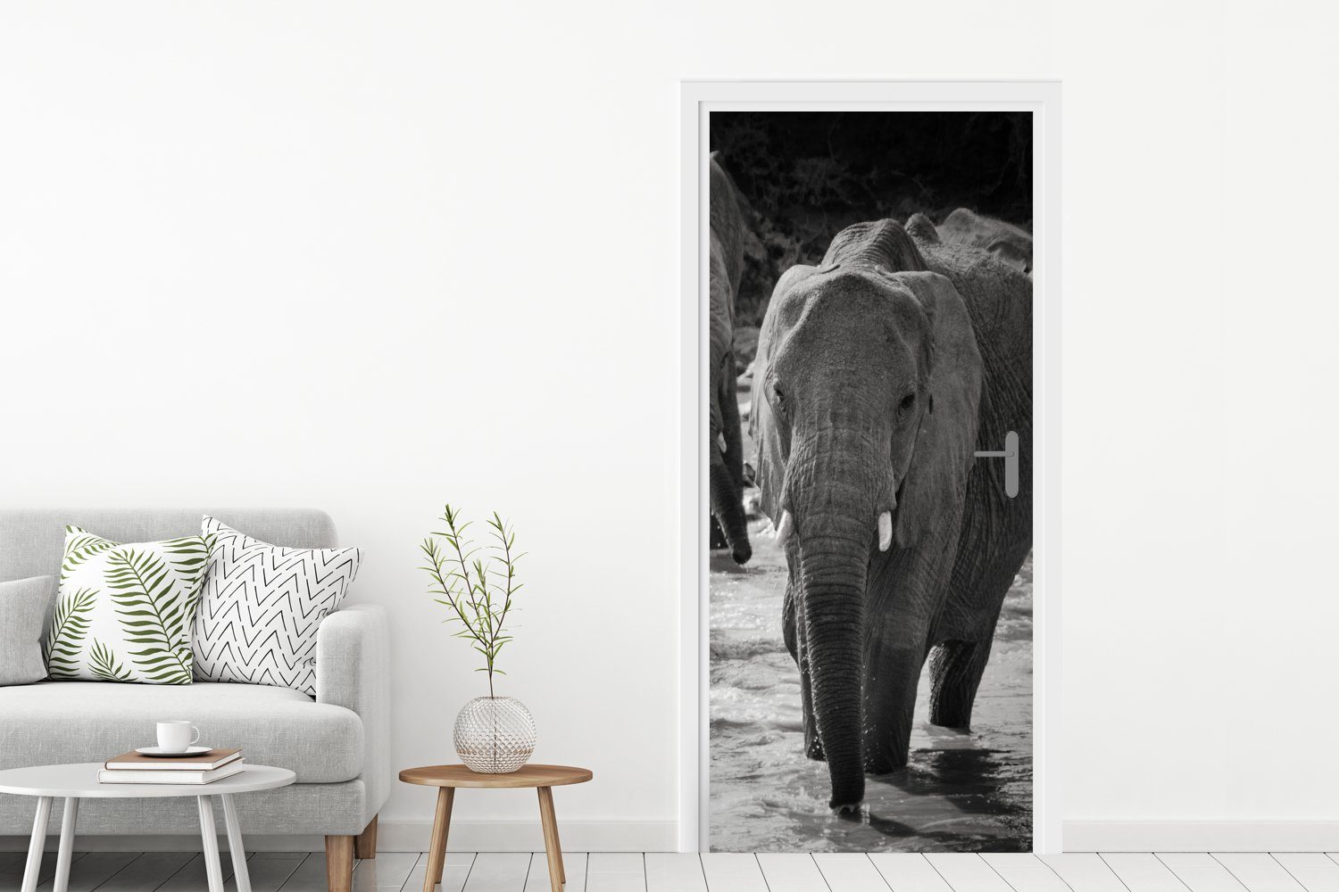 Tür, (1 - cm Wasser weiß, Fototapete bedruckt, Türaufkleber, Matt, - Schwarz und St), 75x205 Türtapete Elefant für Tiere - MuchoWow