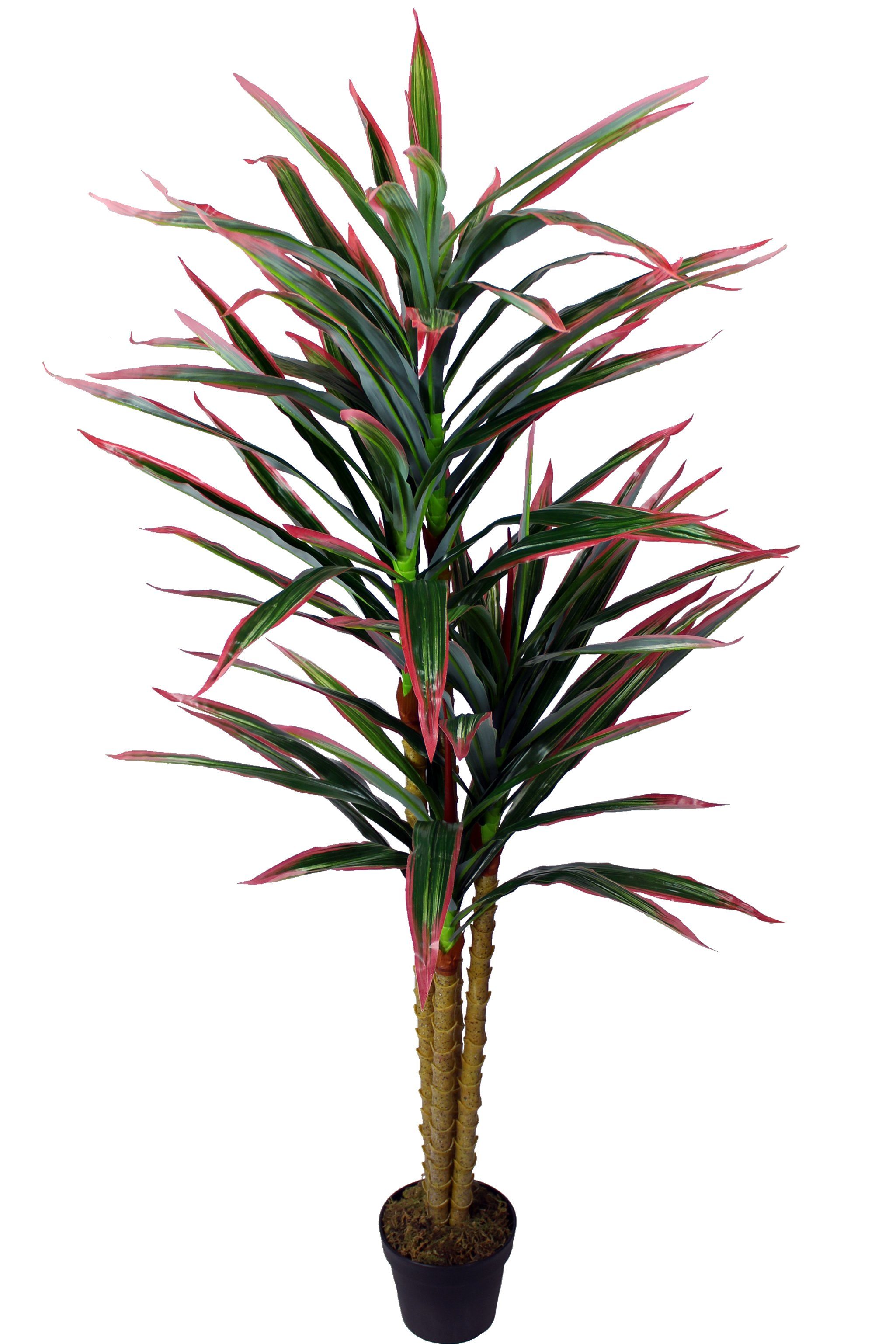 Kunstpflanze künstliche Dracaena Kunstpflanze im 180 Aufstellen tropische Höhe cm, Arnusa, zum fertig Palme Pflanze Dracaena, Topf