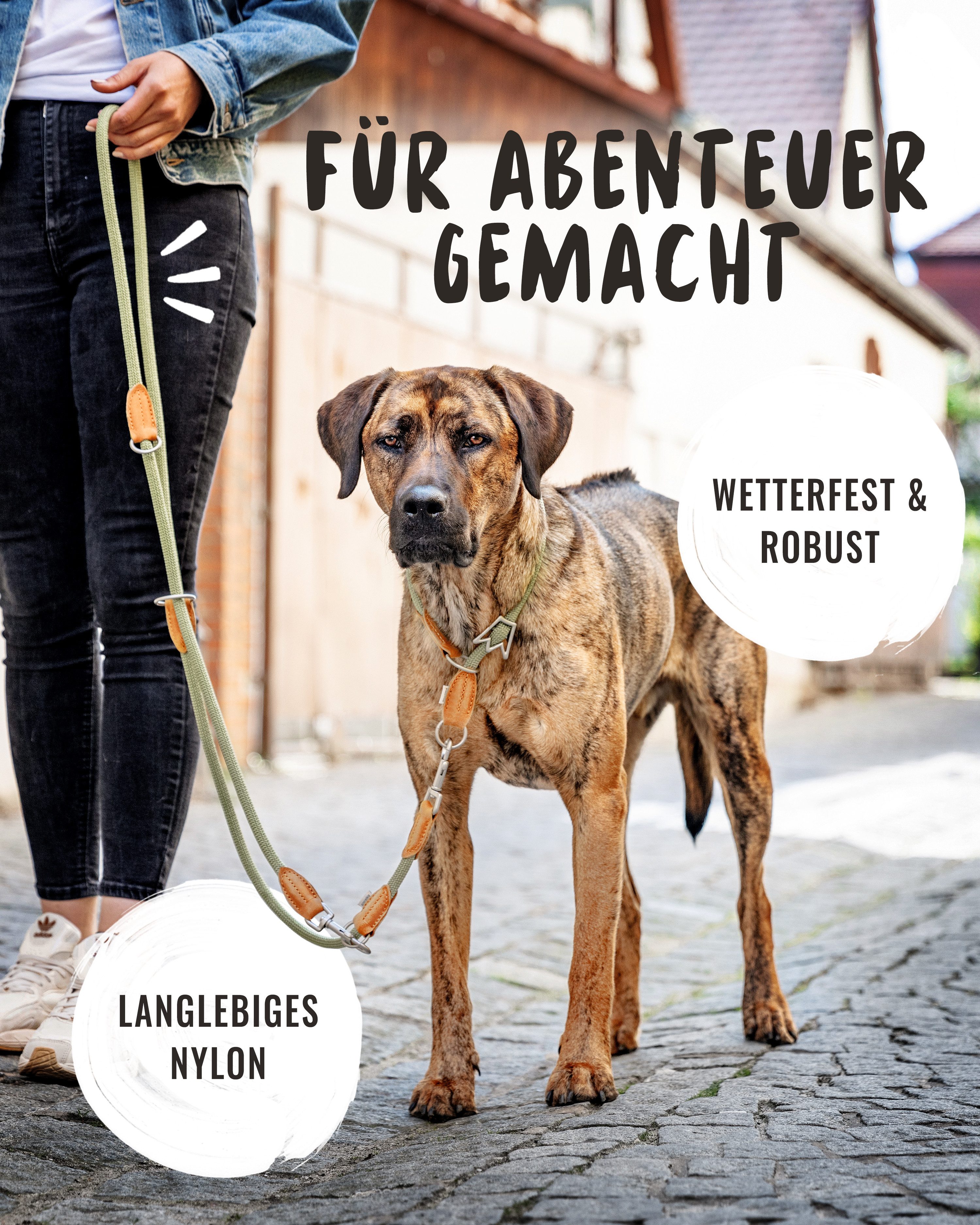Rudelkönig Hundeleine Hundeleine 2,25m mit Leder, Elegante Führleine für große Hunde, Leder, Polyester (1-tlg), 3-fach verstellbare Tauleine