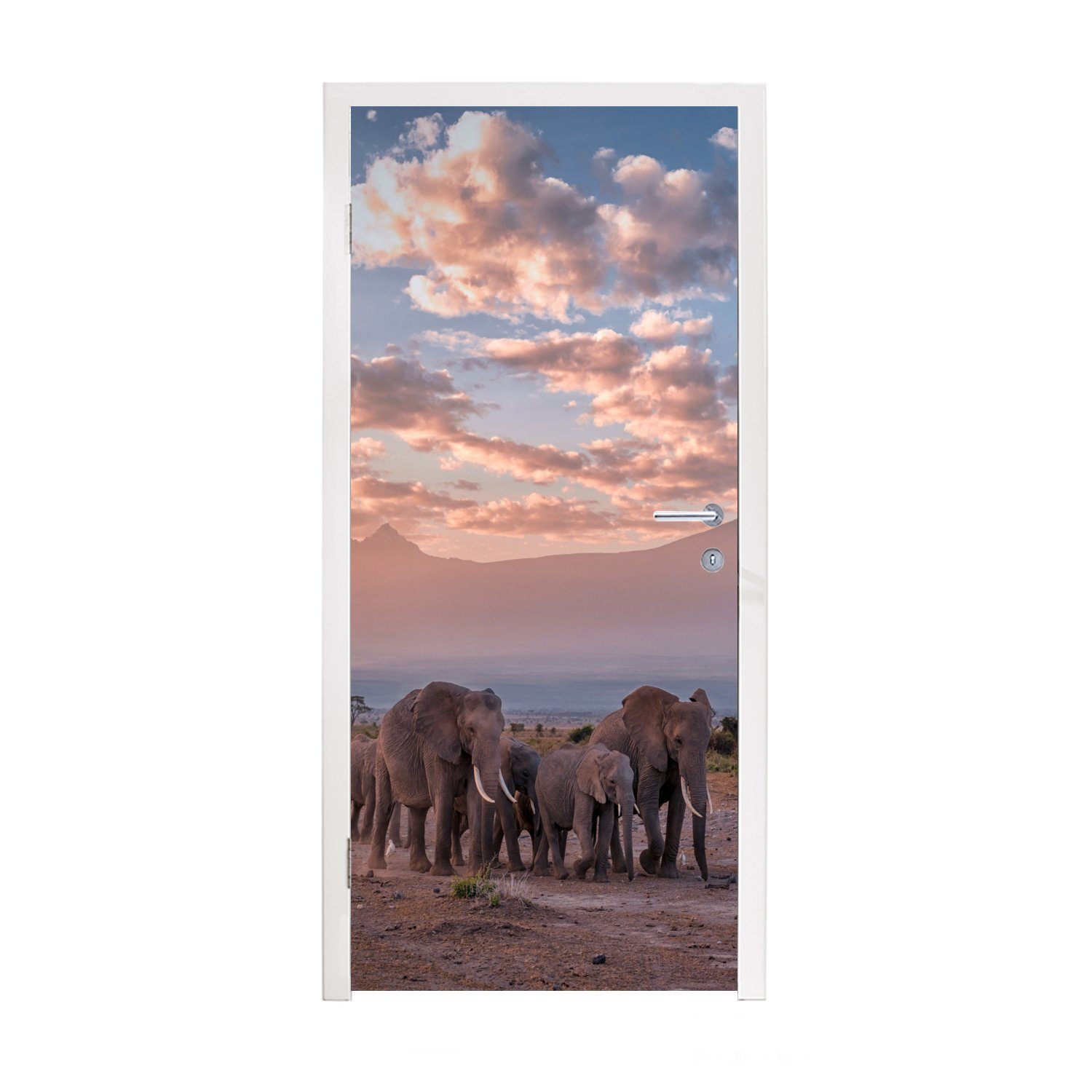 MuchoWow Türtapete Elefant - Tiere - Abend - Landschaft - Savanne, Matt, bedruckt, (1 St), Fototapete für Tür, Türaufkleber, 75x205 cm