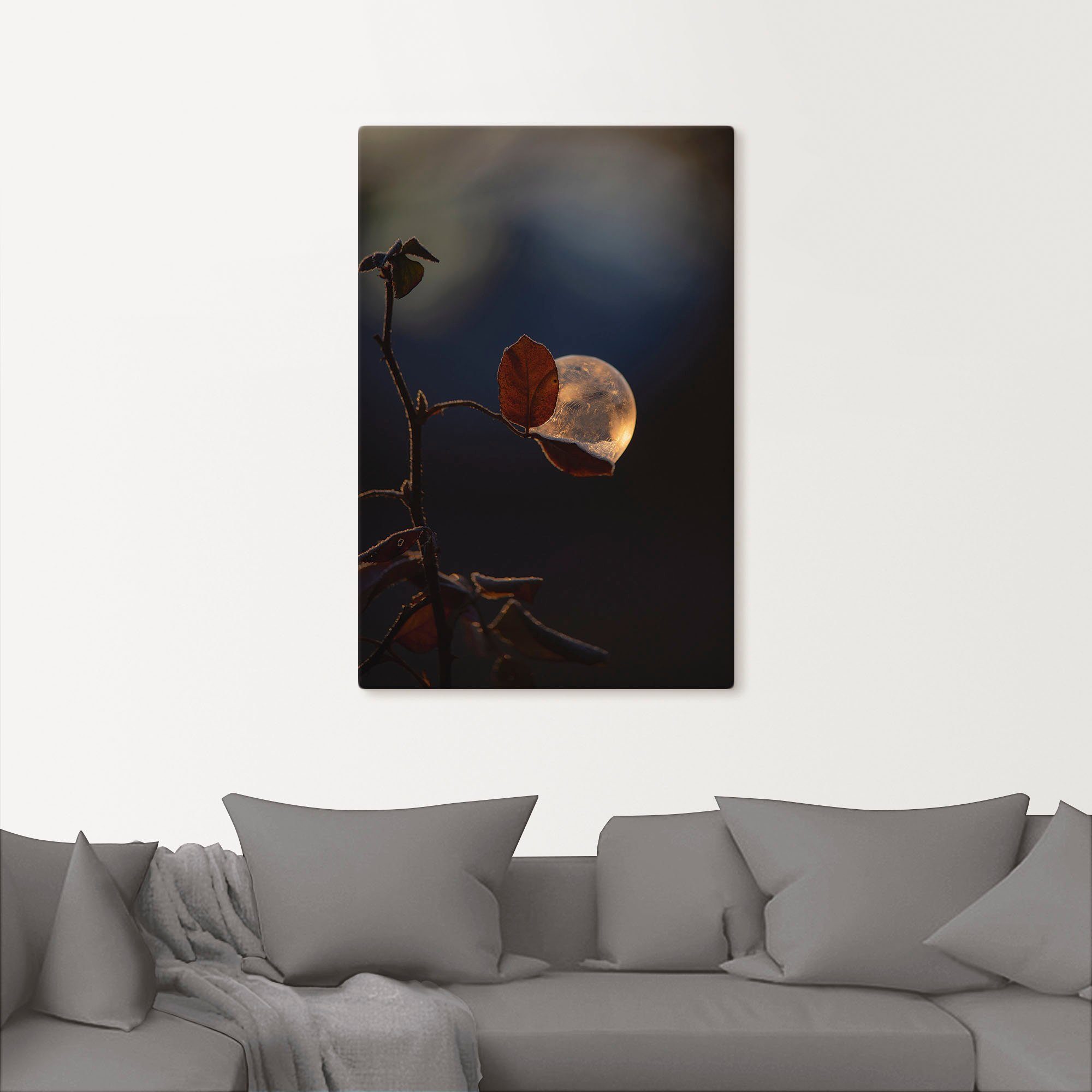 Poster auf oder in Blätterbilder St), Seifenblasen Rosenblatt, Artland Größen Wandbild Wandaufkleber Leinwandbild, (1 versch. Alubild, als