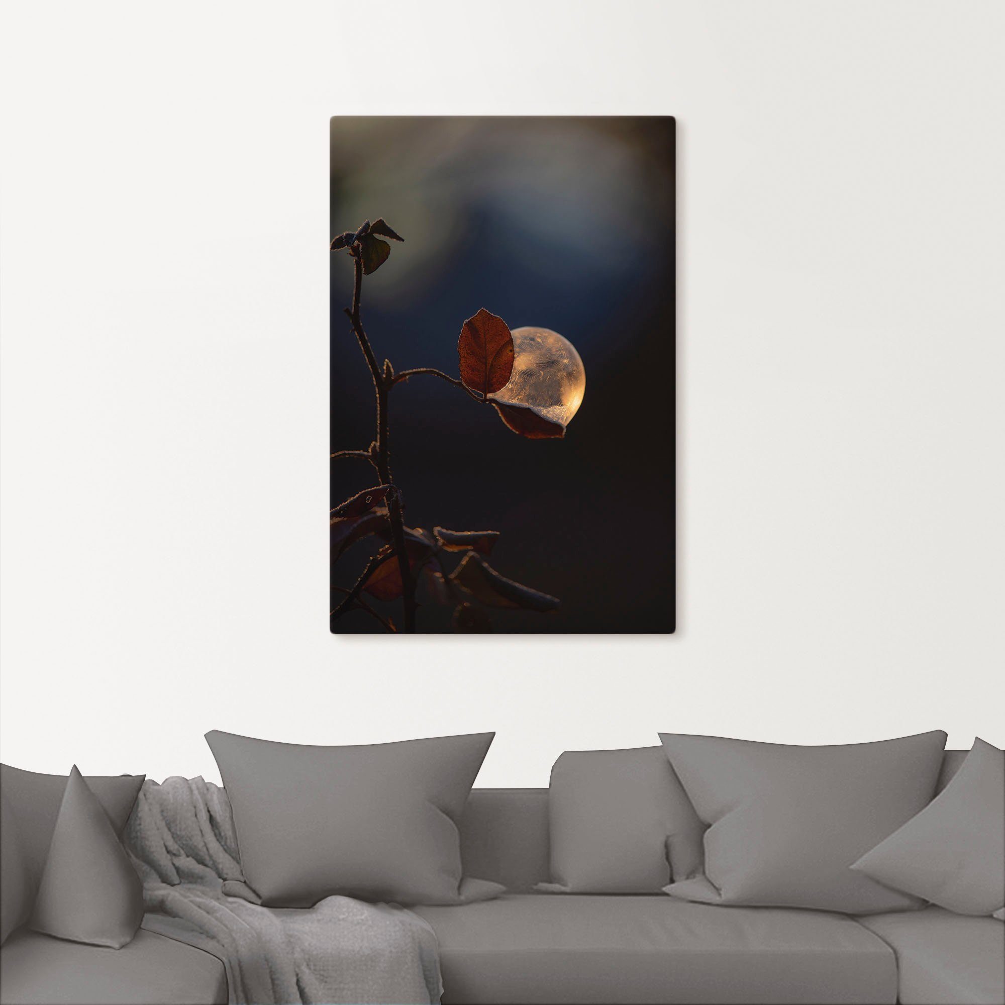 Artland Wandbild »Seifenblasen auf Rosenblatt«, Blätterbilder (1 Stück), in vielen Größen & Produktarten - Alubild / Outdoorbild für den Außenbereich, Leinwandbild, Poster, Wandaufkleber / Wandtattoo auch für Badezimmer geeignet-kaufen