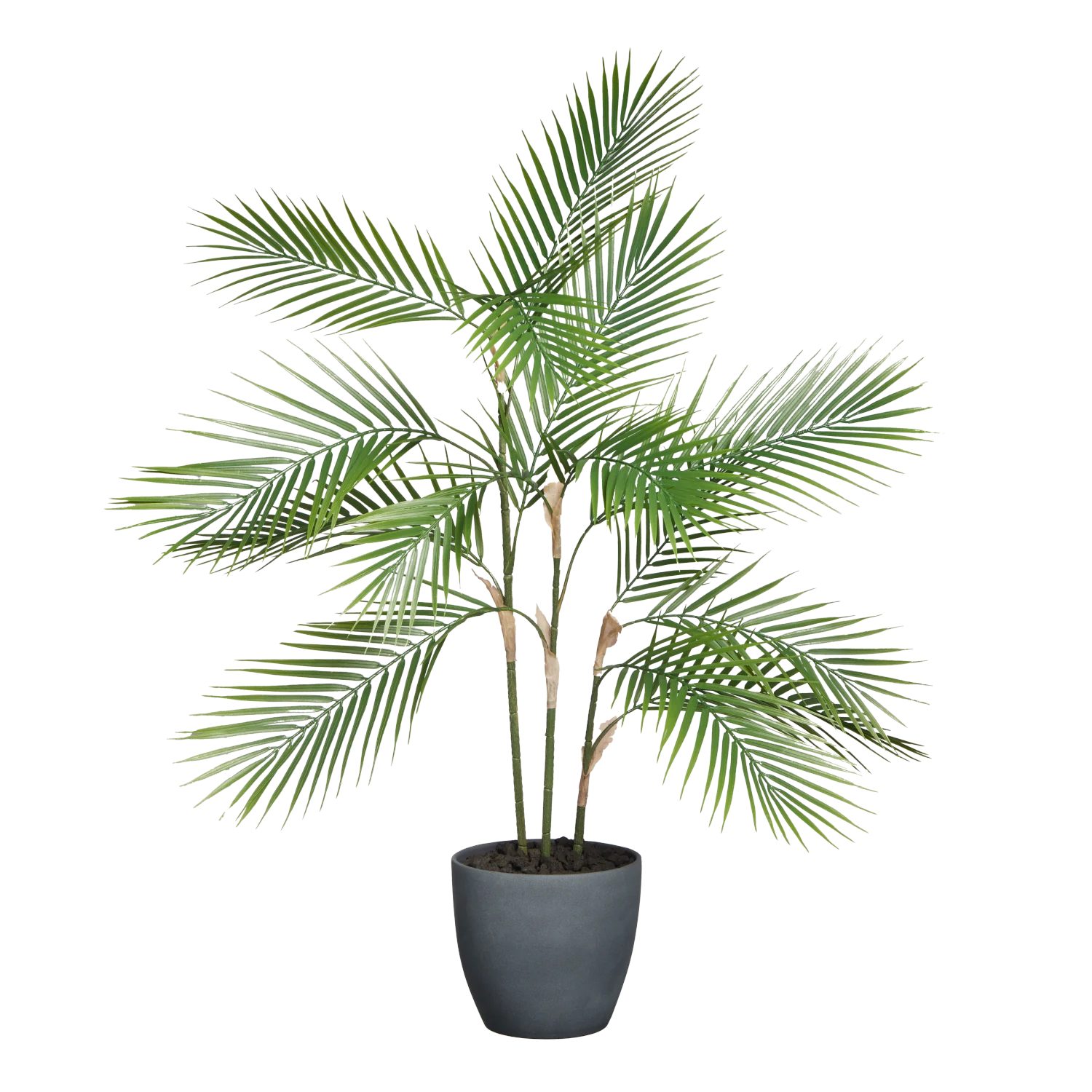 Kunstbaum Künstliche Bergpalme - Nolte, 100 cm, aplanta