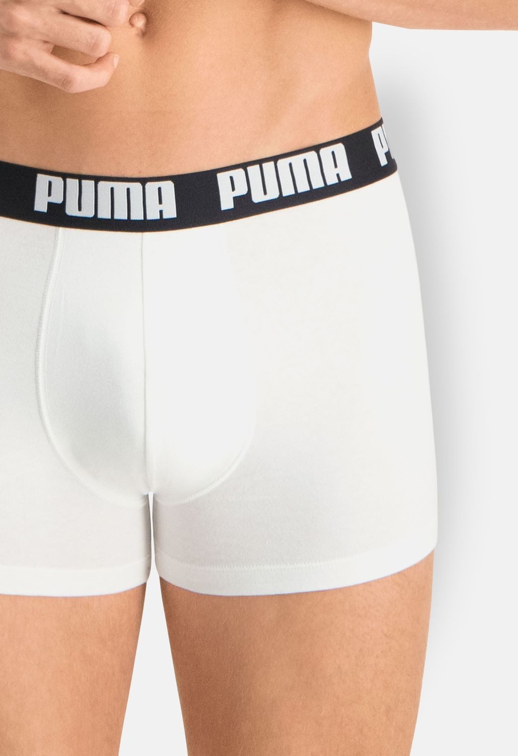 PUMA BODYWEAR Boxershorts BASIC (Sparpack, 5er oder 10er Pack) hautschmeichelnd, modern, hochwertig