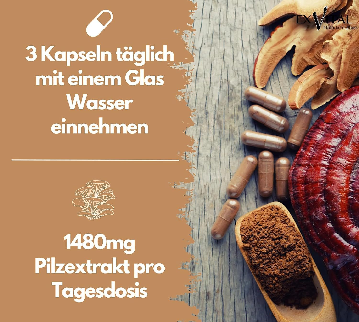 Vitalpilze Komplex- Hericium, Cordyceps, Reishi, Chaga, Shiitake, B12 Kapseln, 73 g