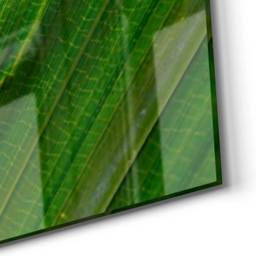 DEQORI Glasbild 'Frosch zwischen Blättern', 'Frosch zwischen Blättern', Glas Wandbild Bild schwebend modern