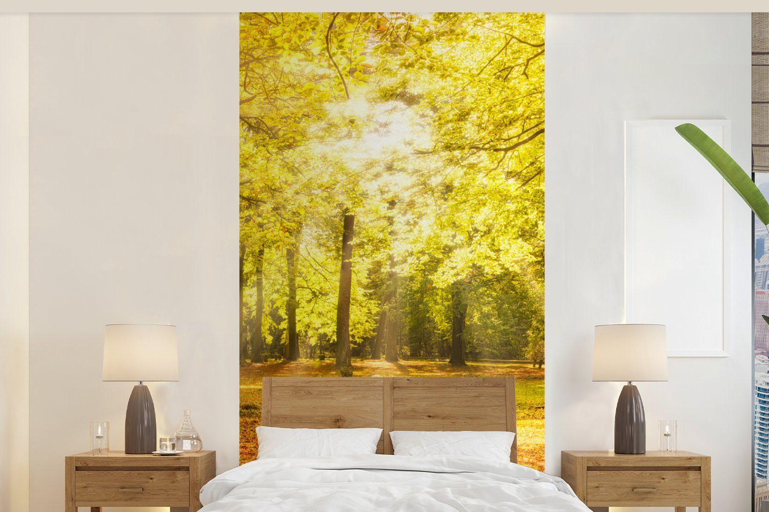 MuchoWow Fototapete Baum - Natur - Sonne - Landschaft - Wald, Matt, bedruckt, (2 St), Vliestapete für Wohnzimmer Schlafzimmer Küche, Fototapete