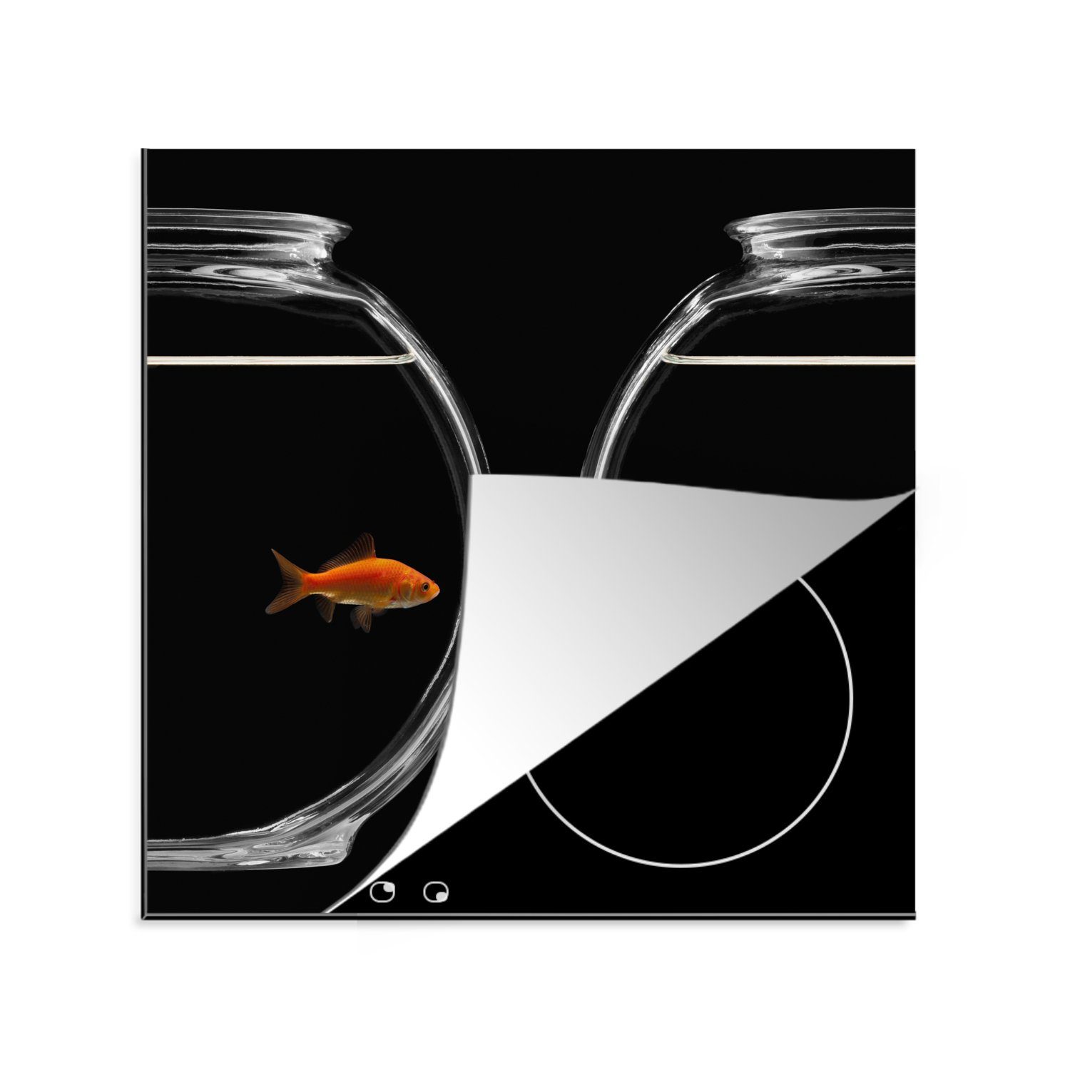 MuchoWow Herdblende-/Abdeckplatte Goldfische durch Glas getrennt, Vinyl, (1 tlg), 78x78 cm, Ceranfeldabdeckung, Arbeitsplatte für küche