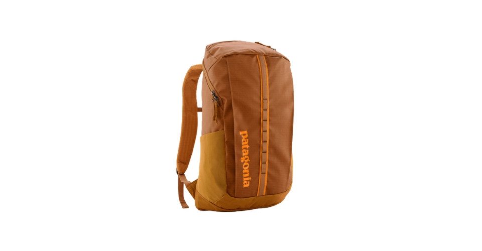 Patagonia Daypack Patagonia Black Hole Pack 25L