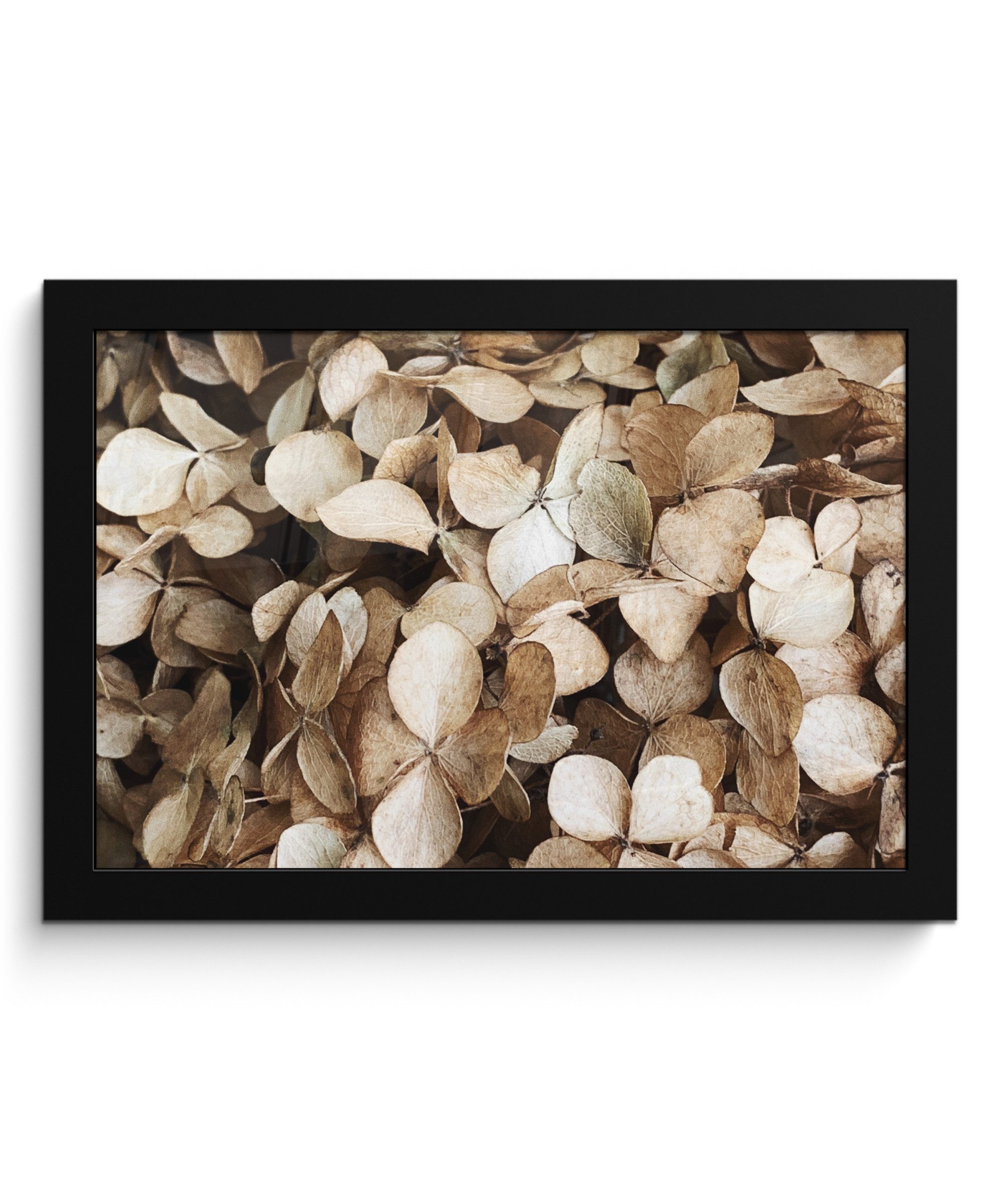 MuchoWow Poster Blätter - Beige - Braun - Herbst, (1 St), Wandbilder, Deko Wohnzimmer Schlafzimmer, 30x20 cm
