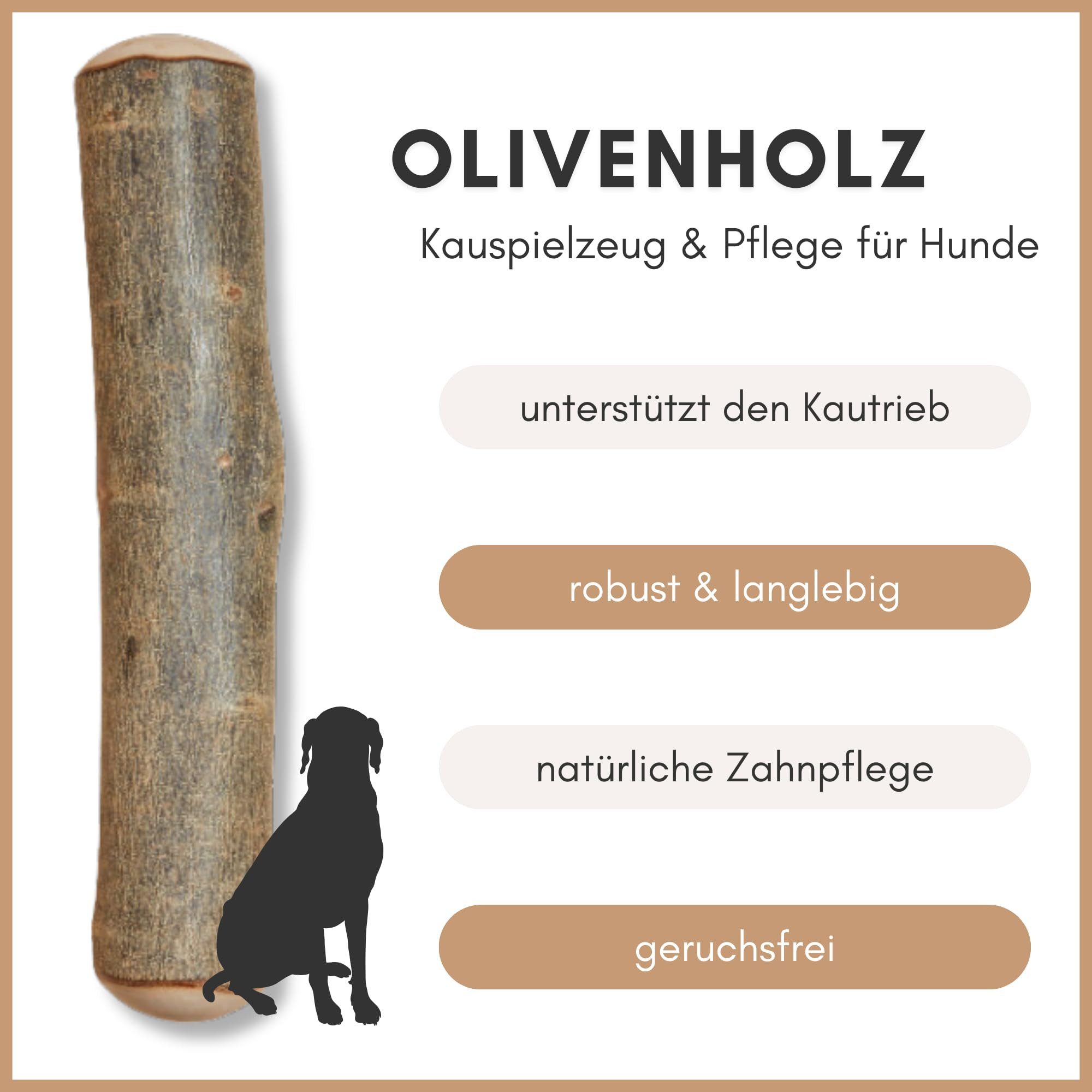 Supravit Kauspielzeug Olivenholz Kauholz für Hunde – natürlich & langlebig