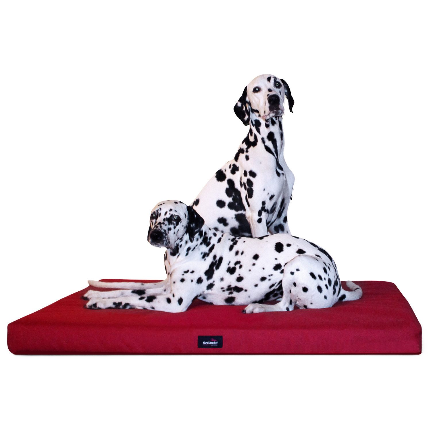 tierlando® Tierbett Orthopädische Hundematratze ALICE VISCO günstig online kaufen