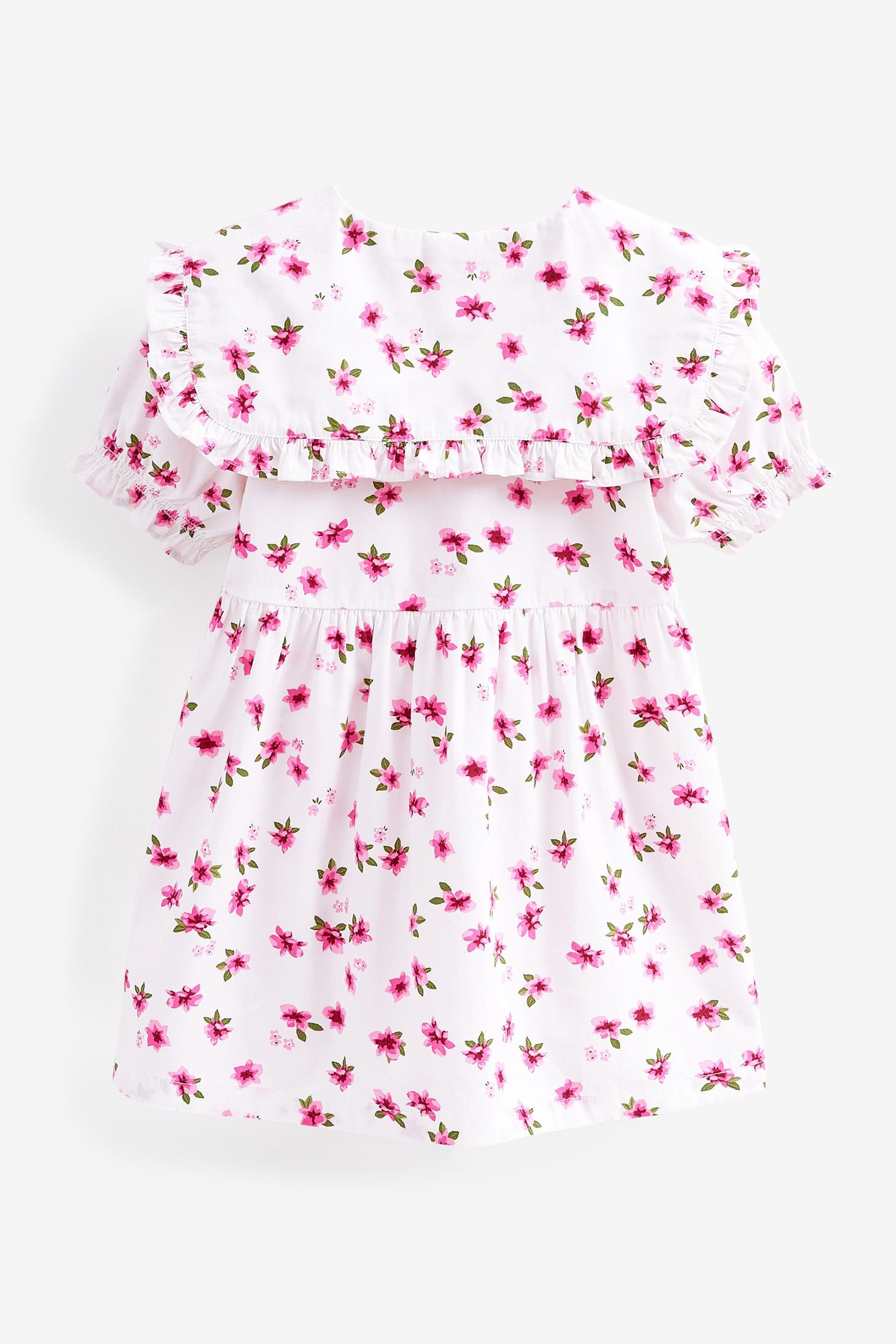 Ditsy Kragen (1-tlg) Pink Next Sommerkleid Baumwollkleid mit