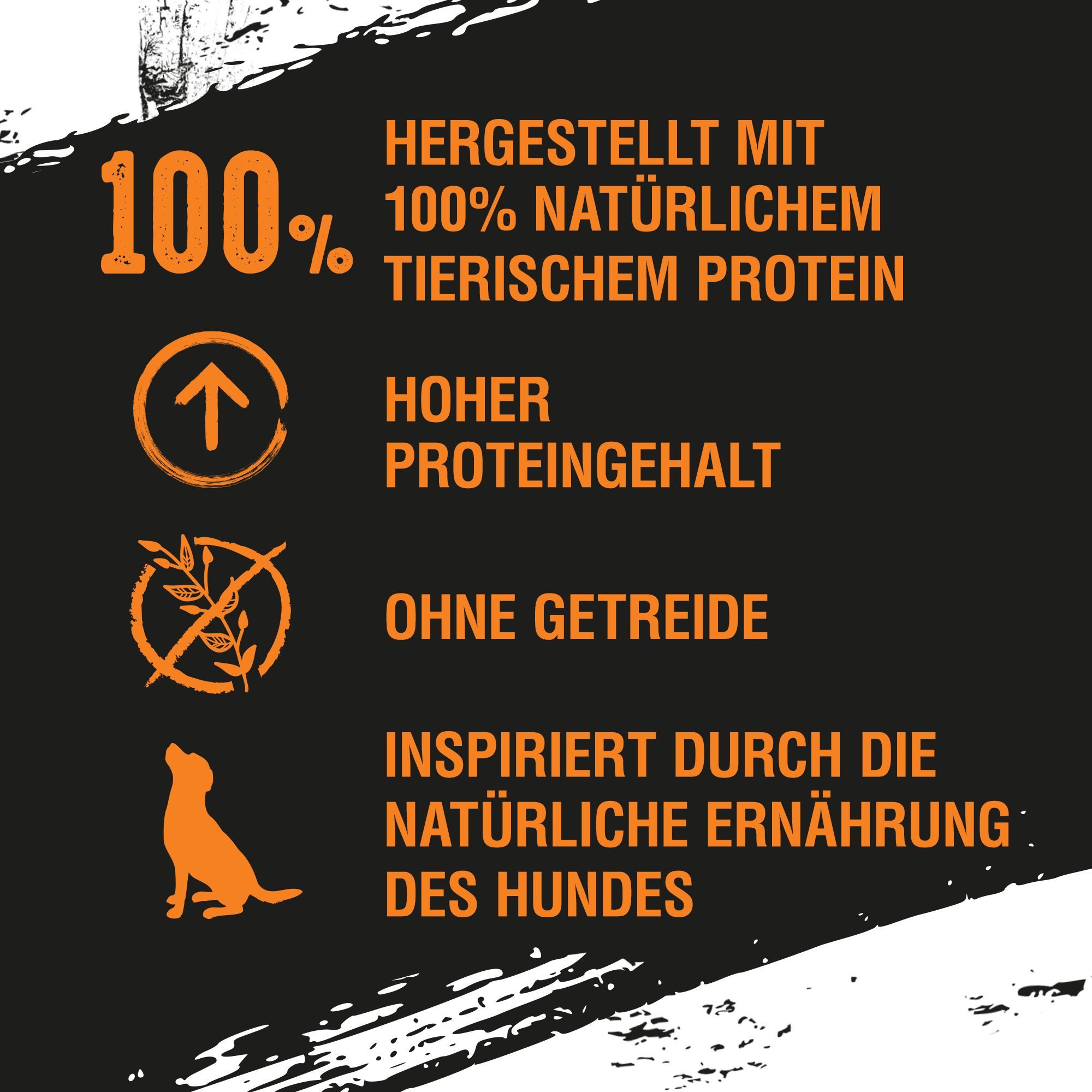 CRAVE CRAVE™ Hund Dose mit Huhn & Pute, Lamm & Rind, Lachs & Pute 4x6x400g, Nassfutter für: Hunde