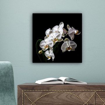 OneMillionCanvasses® Leinwandbild Orchidee - Blumen - Weiß - Natur - Schwarz, (1 St), Leinwand Bilder für Wohnzimmer Schlafzimmer, 20x20 cm
