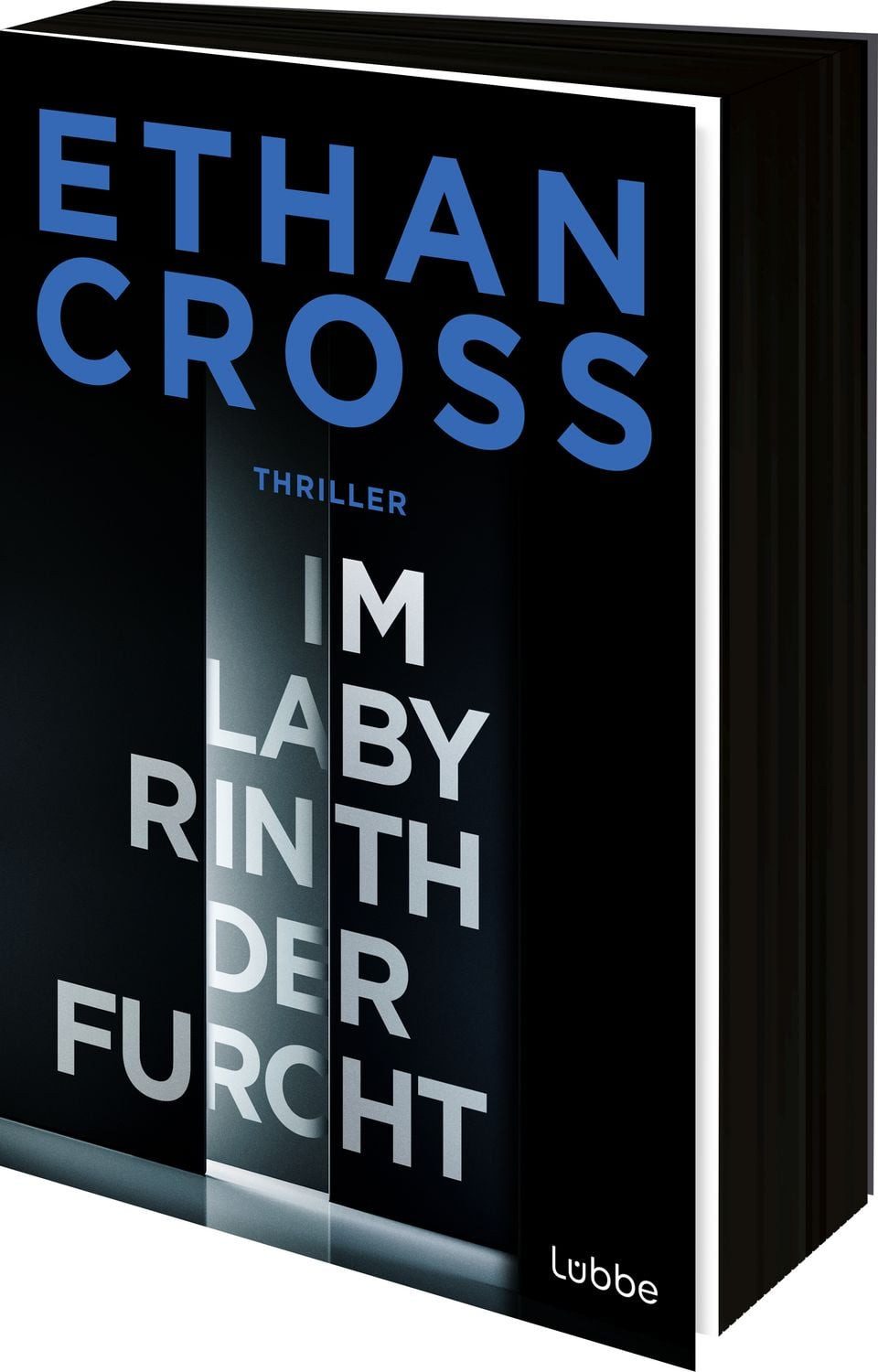 Im Labyrinth der Furcht / Ethan Cross, Thriller. Ein neuer Francis-Ackerman-jr-Thriller vom Bestseller-Autor