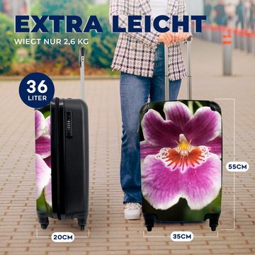 MuchoWow Handgepäckkoffer Wilde Orchidee, 4 Rollen, Reisetasche mit rollen, Handgepäck für Ferien, Trolley, Reisekoffer