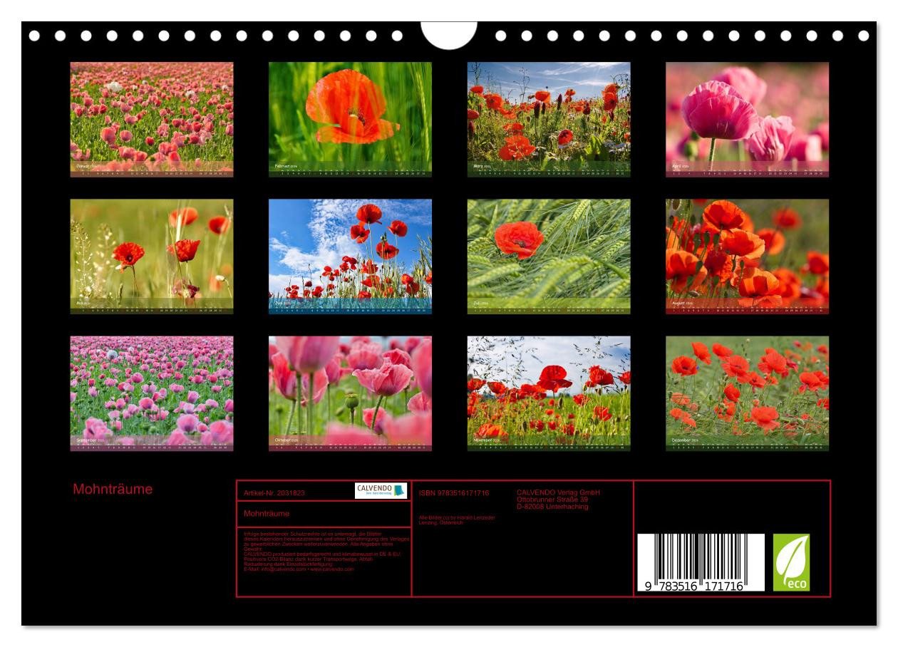 Thumbnail - CALVENDO Wandkalender Mohnträume (Wandkalender 2026 DIN A4 quer), CALVENDO Monatskalender