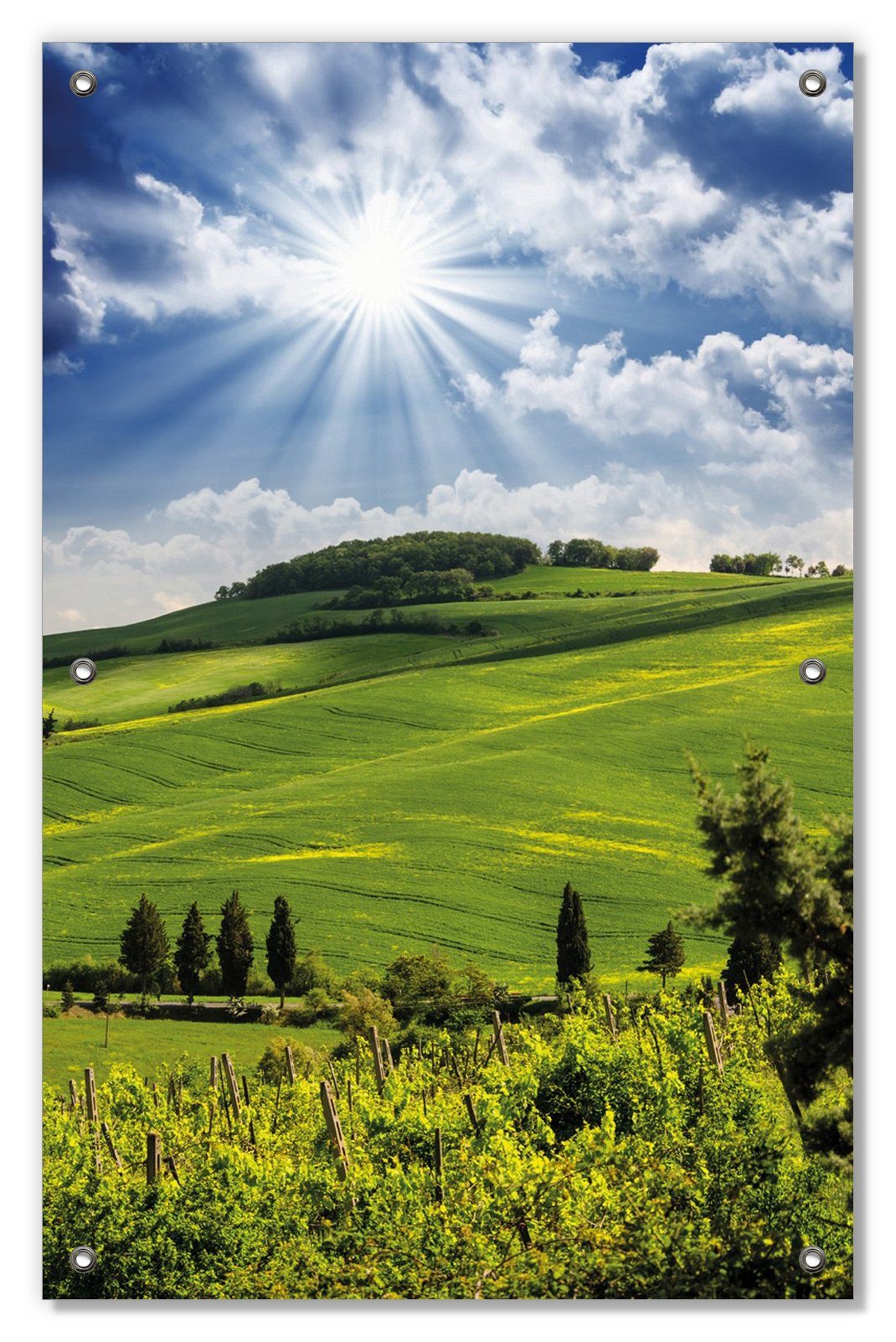 Wallario Sonnenschutz Strahlender Sonnenschein, blickdicht, mit Saugnäpfen, wiederablösbar und wiederverwendbar