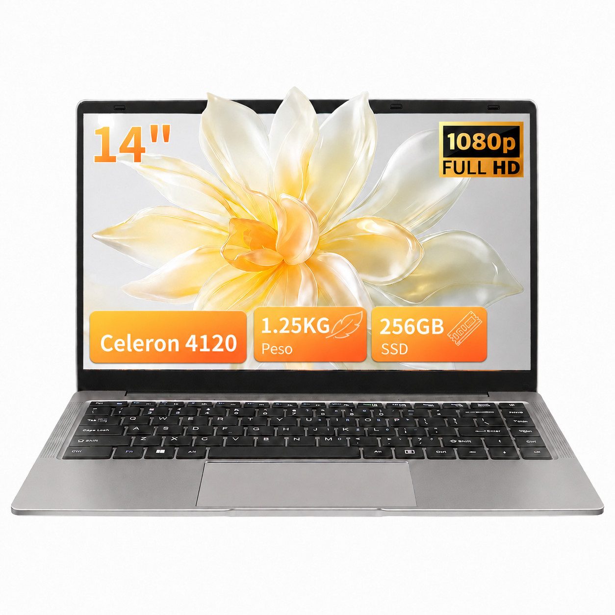 LONGEVINCE 14 Zoll Ultrabook Laptop, 8 GB RAM, N4120, Windows 11 Pro Notebook (35,56 cm/14 Zoll, Intel, 8 GB, 238 GB SSD, mit Deutscher Tastaturfolie, Celeron N4120 (bis zu 2,6 GHz)
