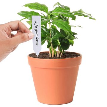 Belle Vous Schlüsselanhänger 500 Pflanzenmarkierungen - 10x2cm Etiketten (1-tlg), 500 Plastic Plant Markers - Weatherproof 10x2cm Tags