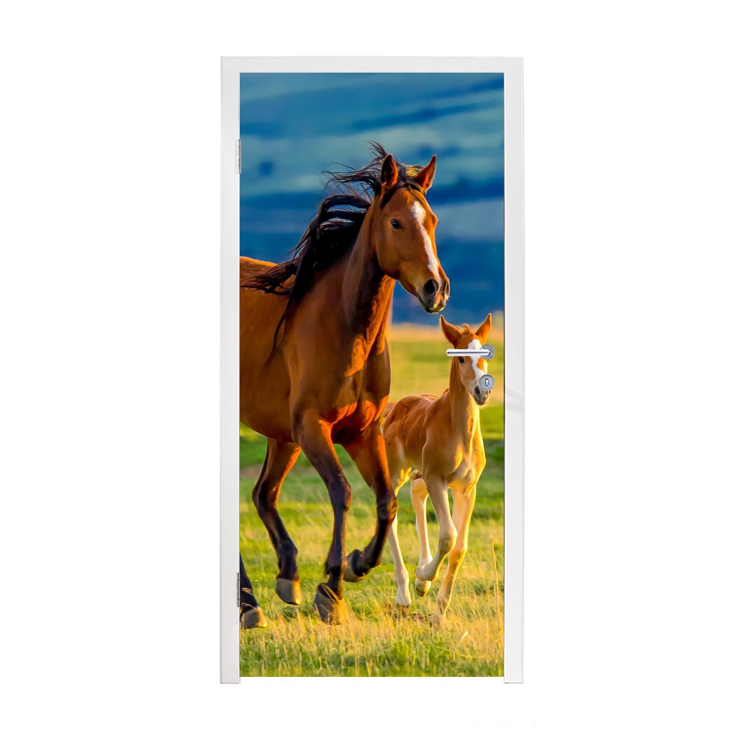 MuchoWow Türtapete Pferde - Gras - Tiere - Landschaft - Natur, Matt, bedruckt, (1 St), Fototapete für Tür, Türaufkleber, 75x205 cm