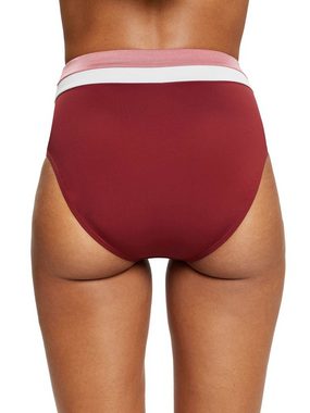 Esprit Bikini-Hose Dreifarbige Bikinihose mit hohem Bund