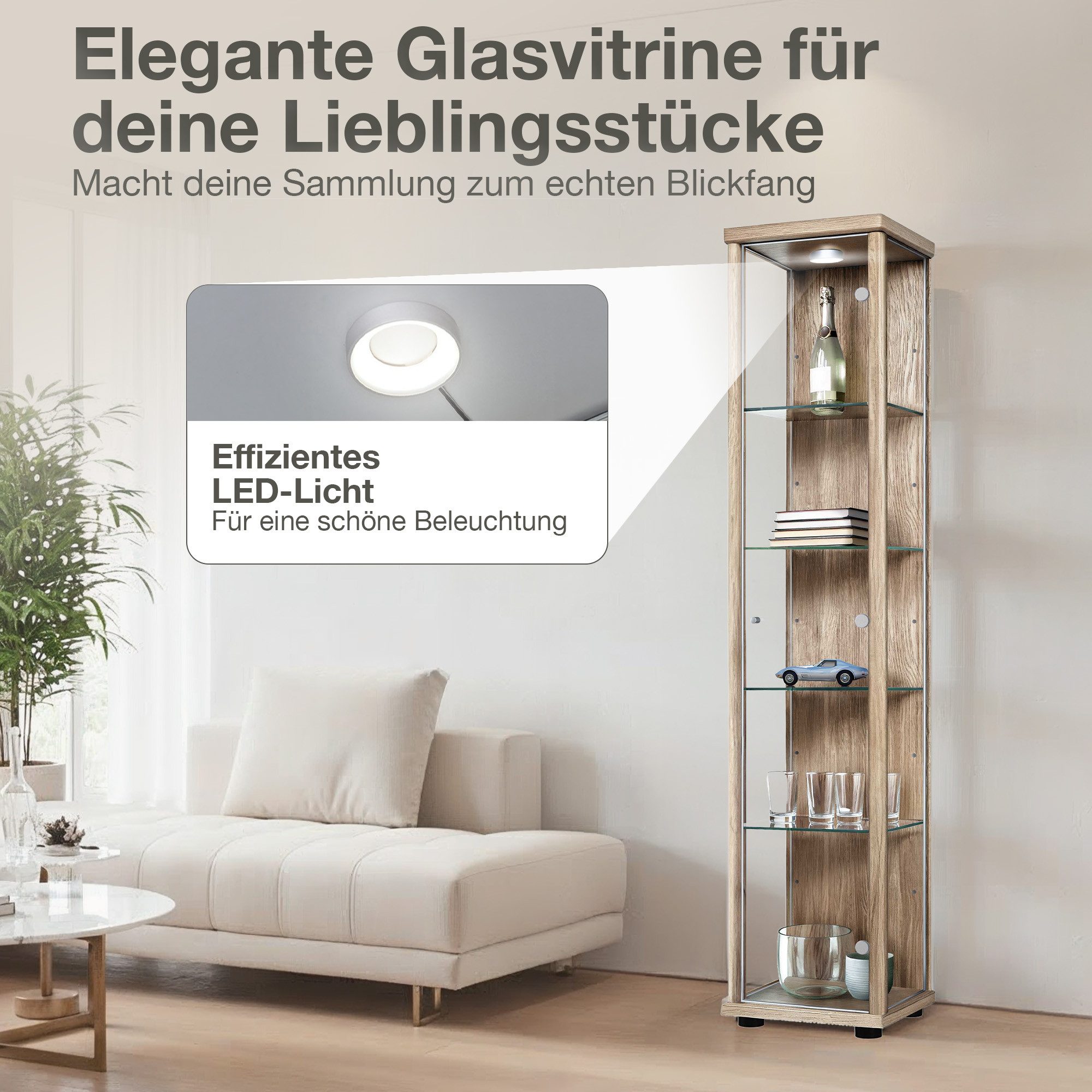 K-Möbel Glasvitrine C1014 (Glasvitrine (176x37x33 cm) mit 1 Glastür) Glasvitrine stehend – Bild 5 von 5