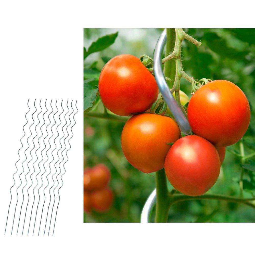 Home4Living Rankhilfe Tomatenstäbe Tomatenspiralstab Tomatenstange 10er Set günstig online kaufen