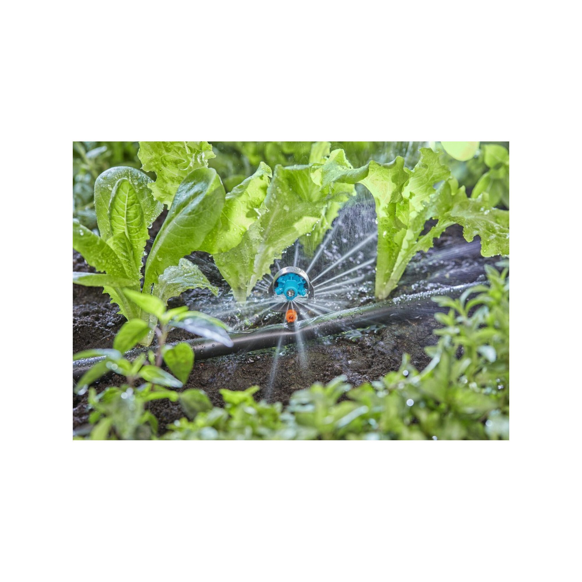 GARDENA Bewässerungssystem Gardena Sprühdüse 6 in 1 MDS Inhalt: 2 Stück
