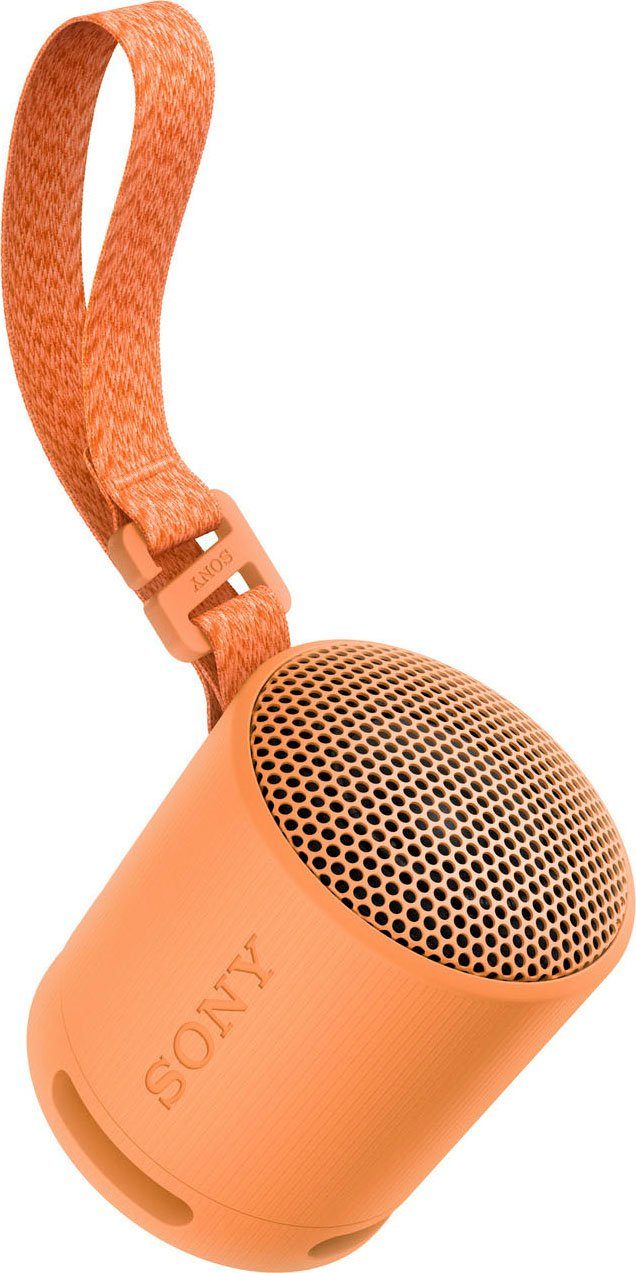 Sony SRS-XB100 Bluetooth-Lautsprecher Stereo (Bluetooth, 2,5 W, kompakter Lautsprecher, mit 360°-Sound-Diffusion)