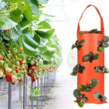 RefinedFlare Gartensockel Einteiliger hängender Erdbeer-Zuchtbeutel, ideal für den Außenbereich., für Drinnen und draußen