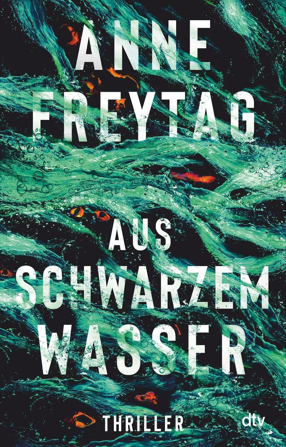 Belletristik Aus schwarzem Wasser Thriller Anne Freytag