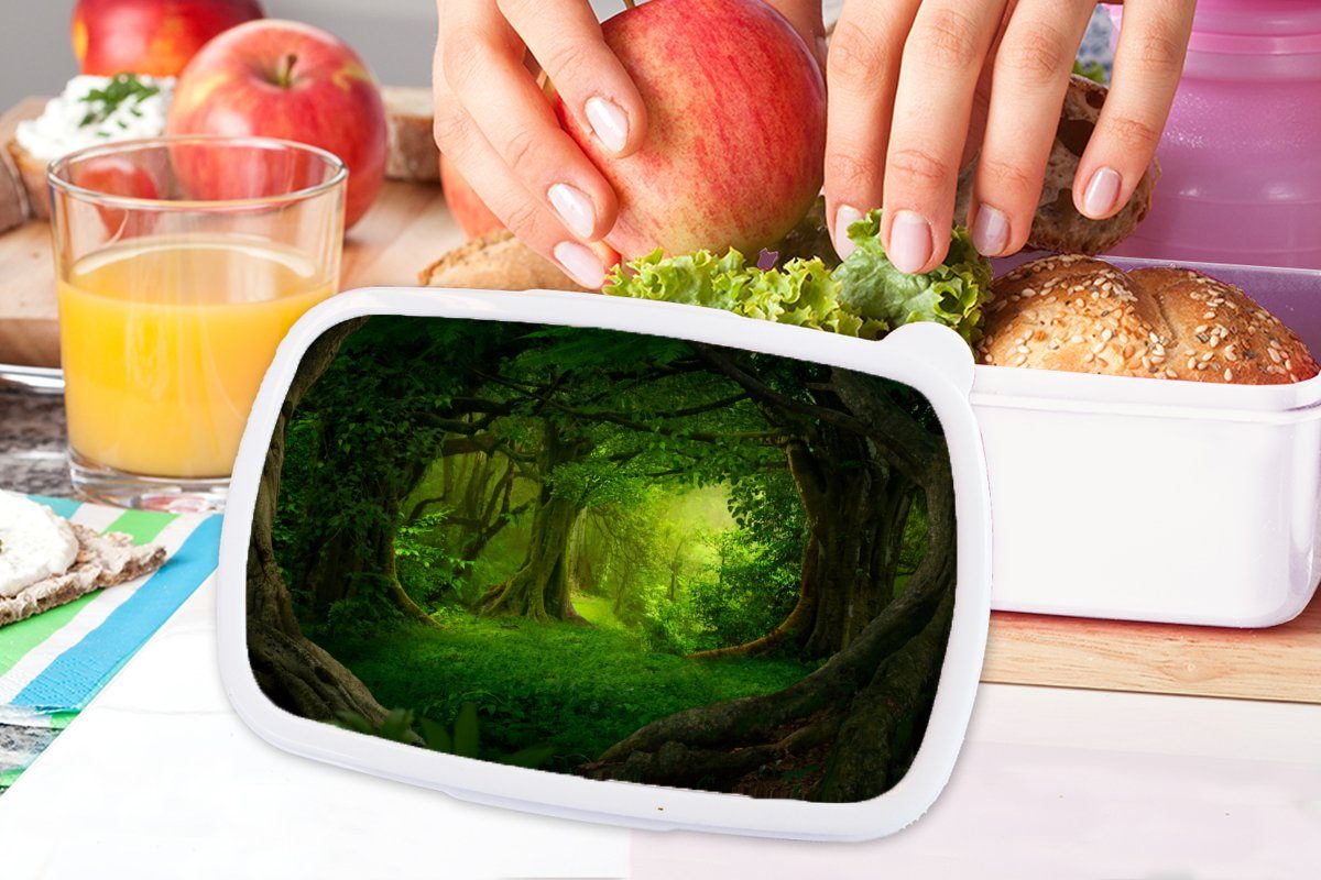 Kinder für - für Brotbox - Natur, Jungs Lunchbox Landschaft - Brotdose, Mädchen weiß - Kunststoff, Bäume Wald und MuchoWow Erwachsene, Grün (2-tlg), und