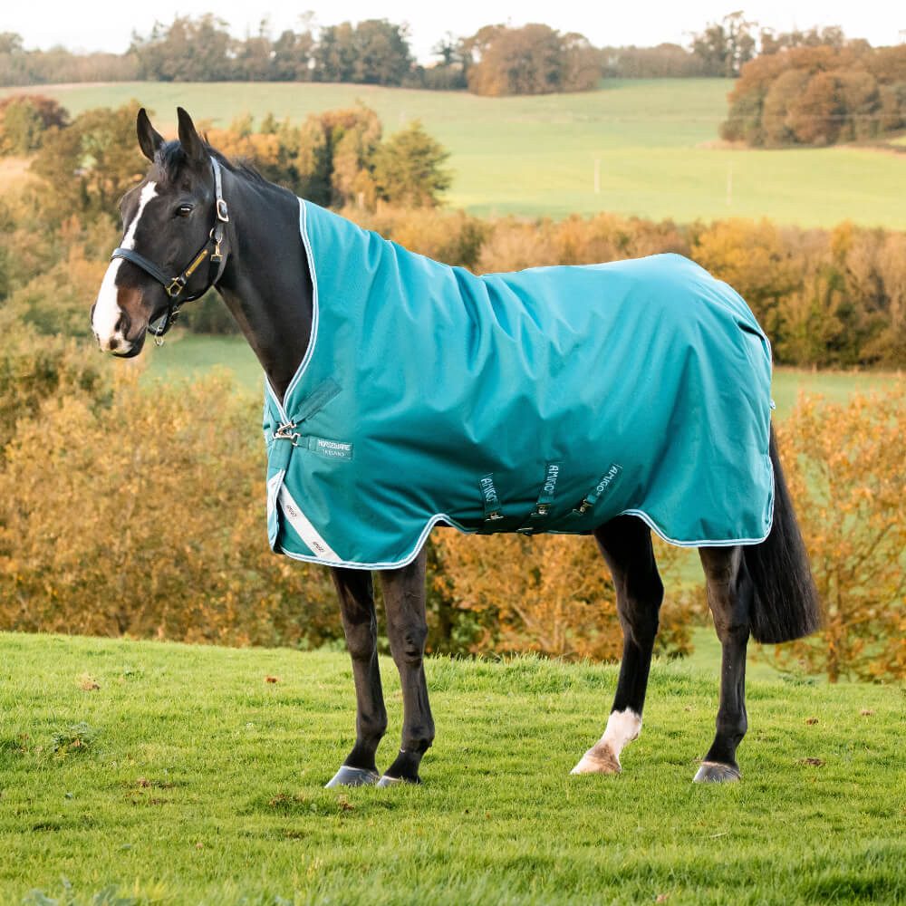 Horseware Pferde-Thermodecke Horseware Amigo Bravo 12 Turnout Wug Medium 250g