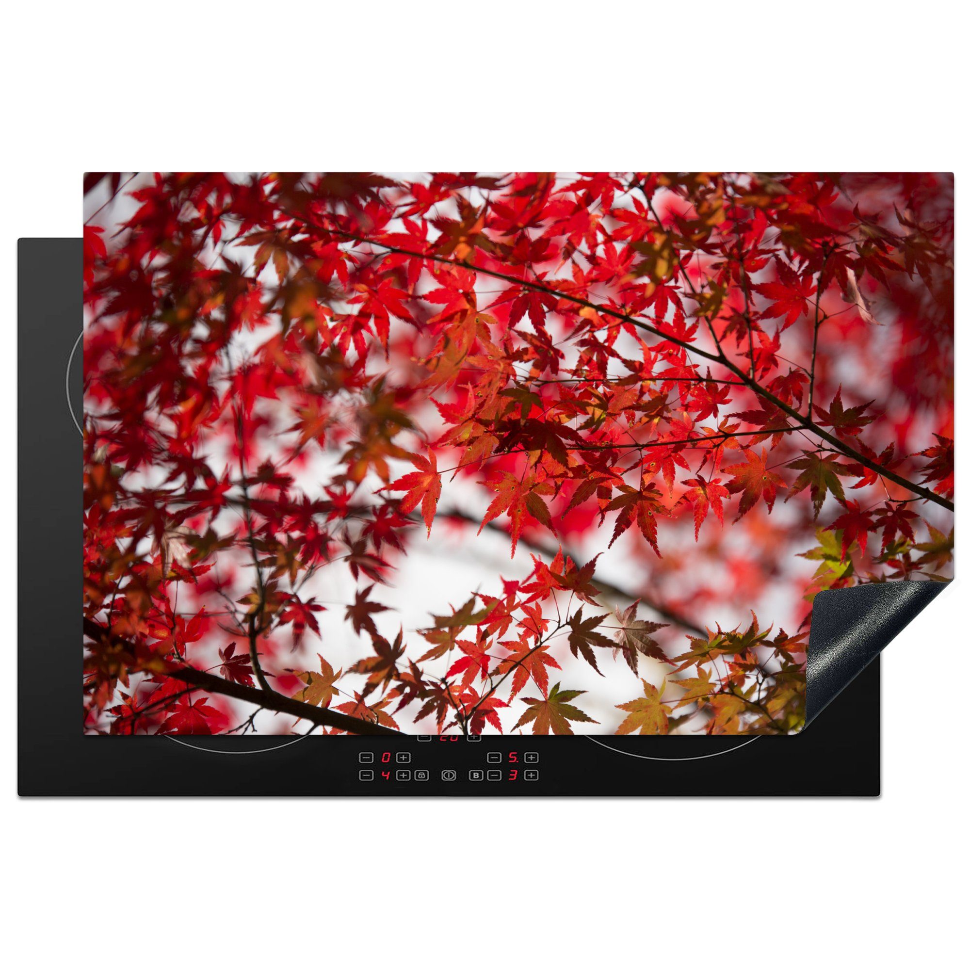 MuchoWow Herdblende-/Abdeckplatte Rote Blätter eines japanischen Ahorns, Vinyl, (1 tlg), 81x52 cm, Induktionskochfeld Schutz für die küche, Ceranfeldabdeckung