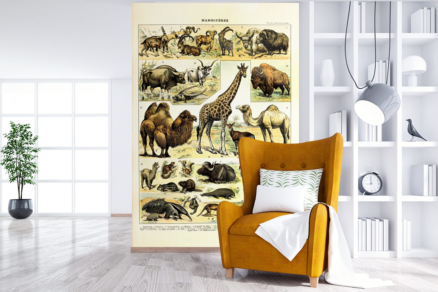 Wandtapete - Tapete Wohnzimmer, bedruckt, Fototapete Vinyl Kamel, St), Montagefertig (3 Tiere - MuchoWow Giraffe für Matt,