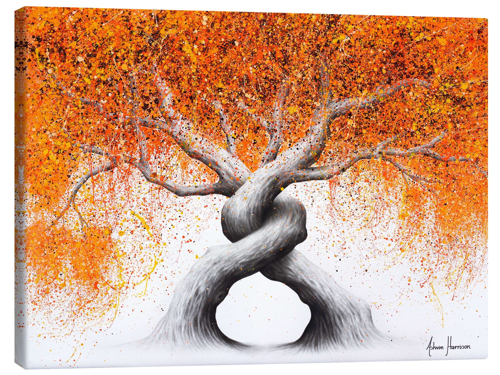 Posterlounge Wandbild Verschlungene Liebesbäume, Ashvin Harrison, erhältlich als Poster, Leinwandbild, Wandsticker oder Acrylglasbild