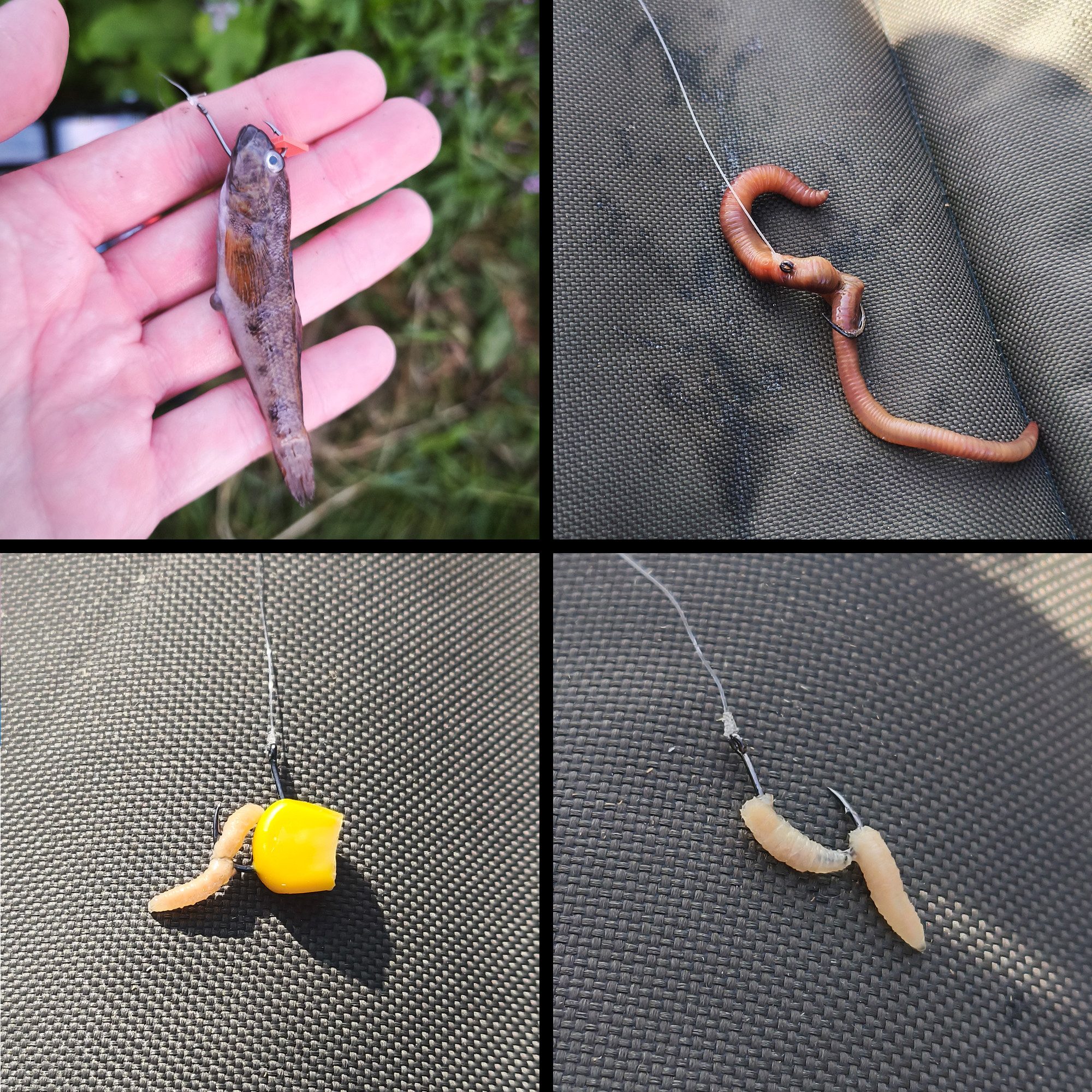Paradox Fishing Stipphaken Allround-Haken Set mit Öse I 100 Stück #10/#8/#6/#4/#2 - je 20x, (100-St), geschränkt