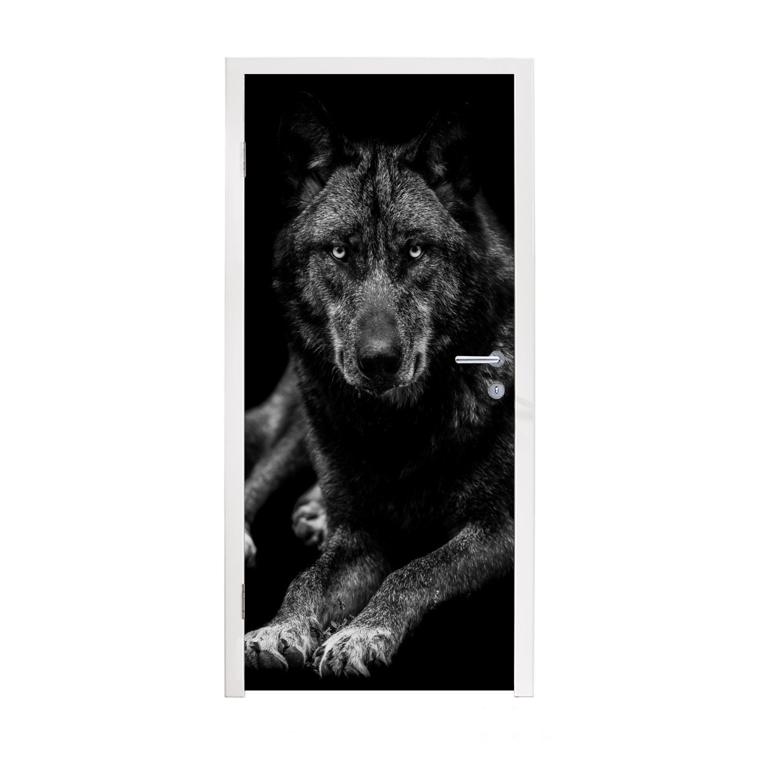 - 75x205 Schwarz Türtapete Weiß Fototapete (1 - Porträt, Tür, bedruckt, Matt, - St), cm Türaufkleber, Tiere MuchoWow für Wolf -