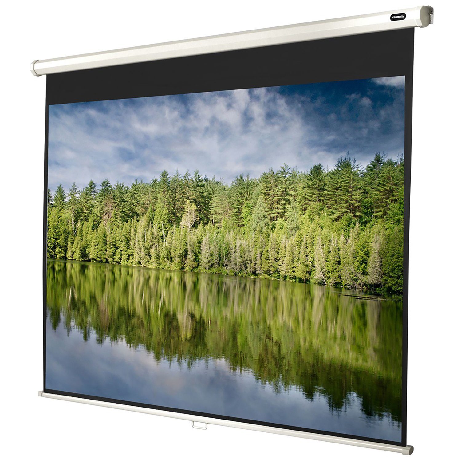 Celexon Economy Rolloleinwand (schwarze Rückseite)