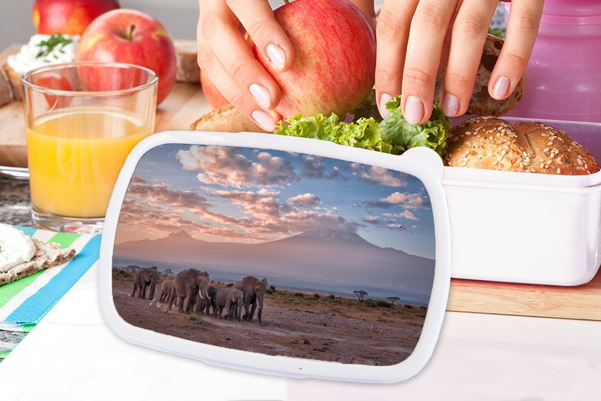 MuchoWow Lunchbox Elefant - Tiere Brotdose, - für Savanne, Kinder - und Brotbox weiß Landschaft Jungs Erwachsene, - (2-tlg), für Abend Kunststoff, und Mädchen