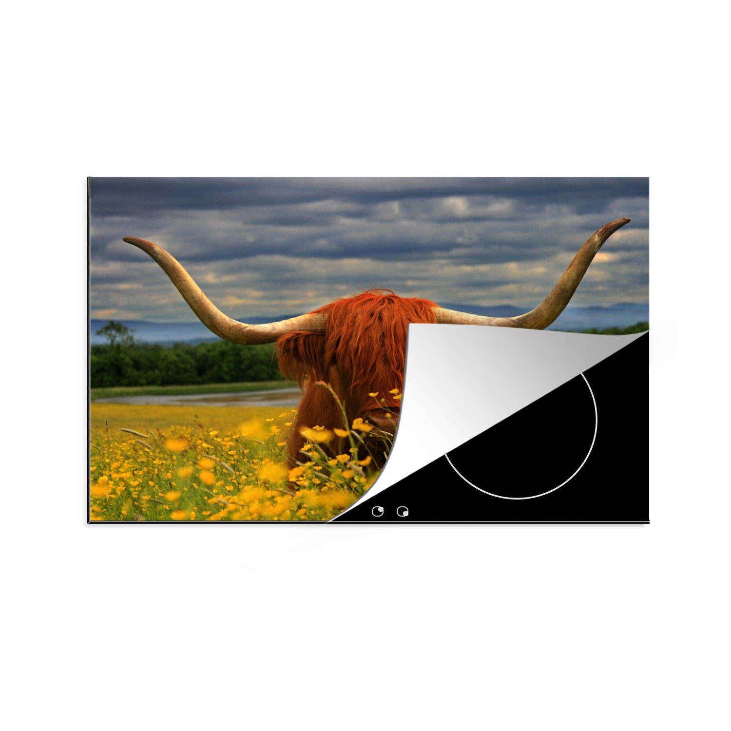 MuchoWow Herdblende-/Abdeckplatte Schottischer Highlander - Tiere - Blumen, Vinyl, (1 tlg), 81x52 cm, Induktionskochfeld Schutz für die küche, Ceranfeldabdeckung