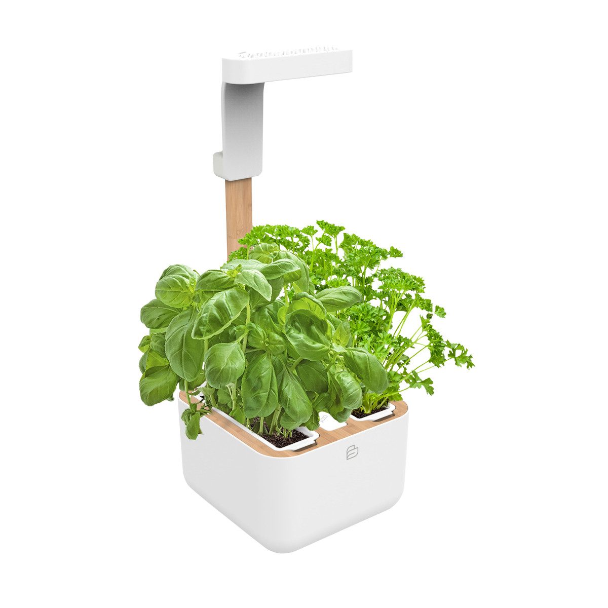 Veritable Anzuchttopf Botaneo Indoor Garden (1 St)