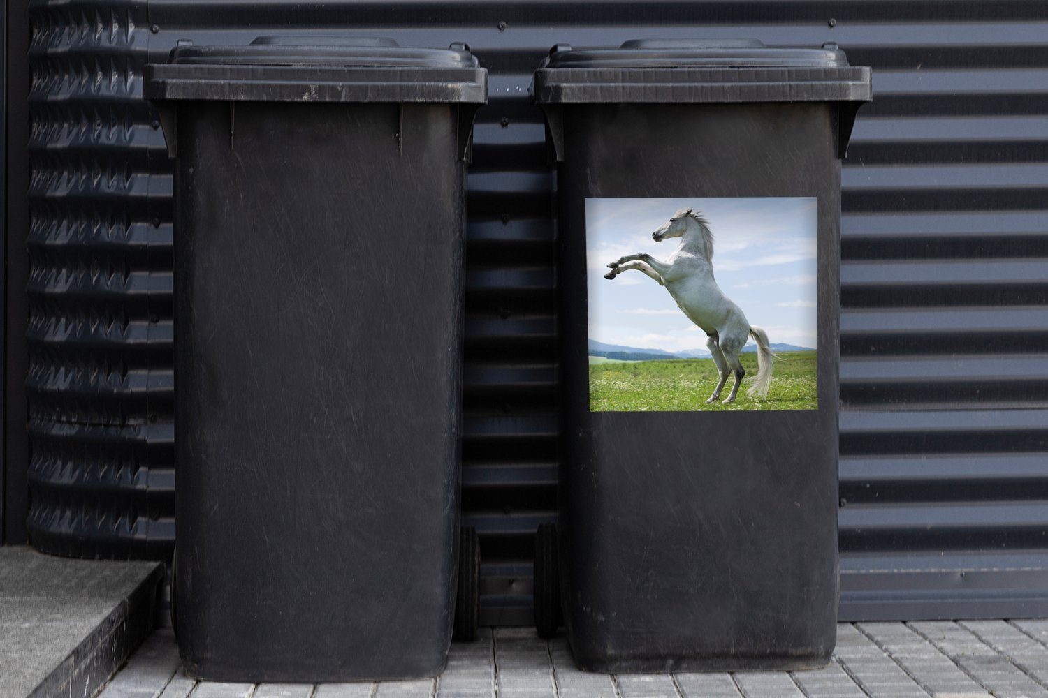 Wandsticker Aufzucht Abfalbehälter Sticker, Natur St), Mülltonne, Container, (1 - MuchoWow Mülleimer-aufkleber, - Pferd